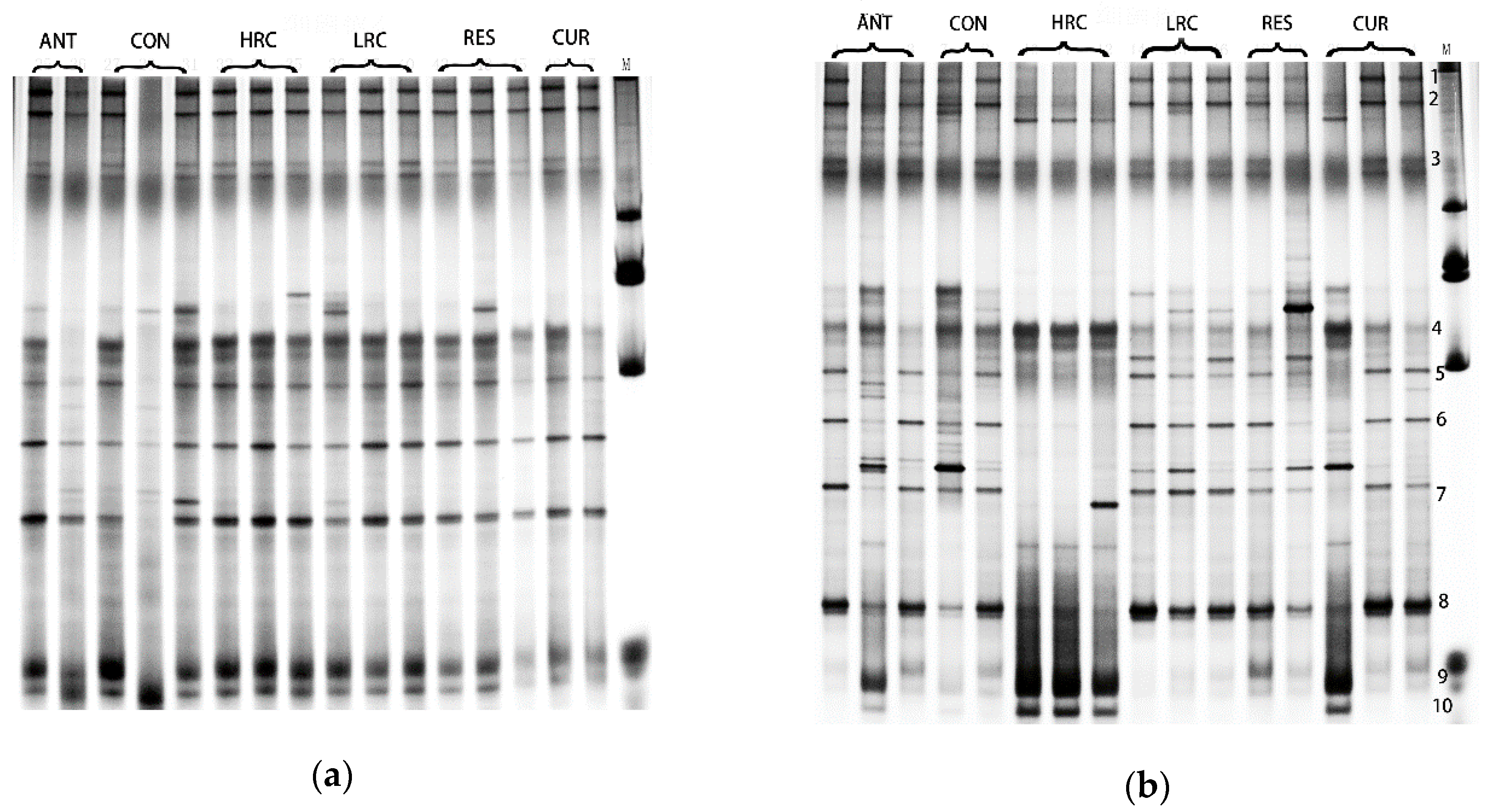 Molecules 24 01220 g003 Molecules 24 01220 g003