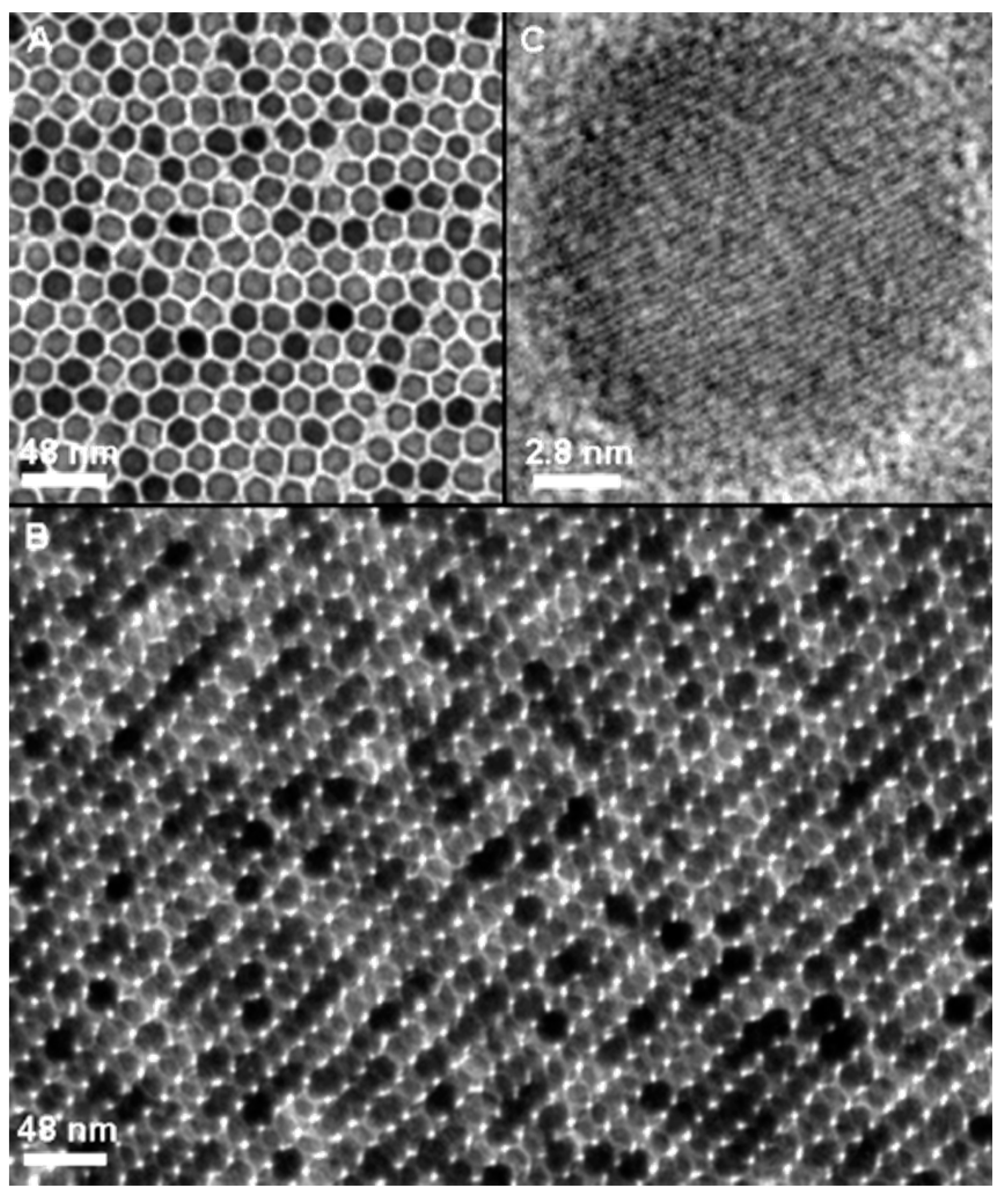 Molecules 24 01224 g003