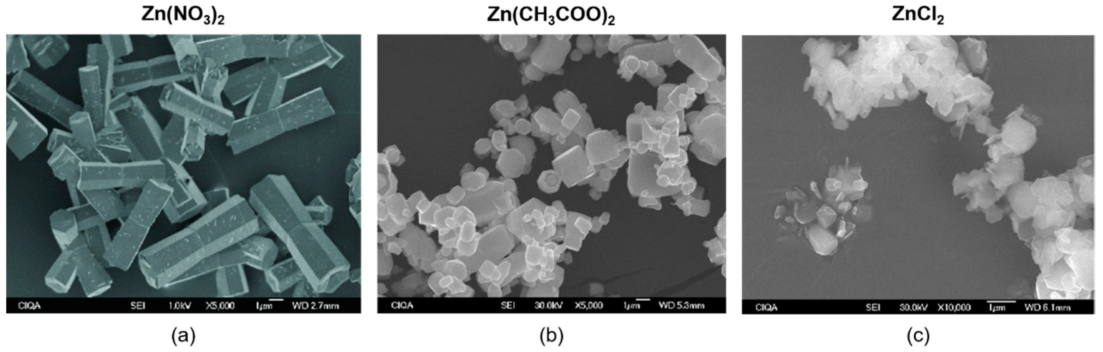 Molecules 24 01224 g005