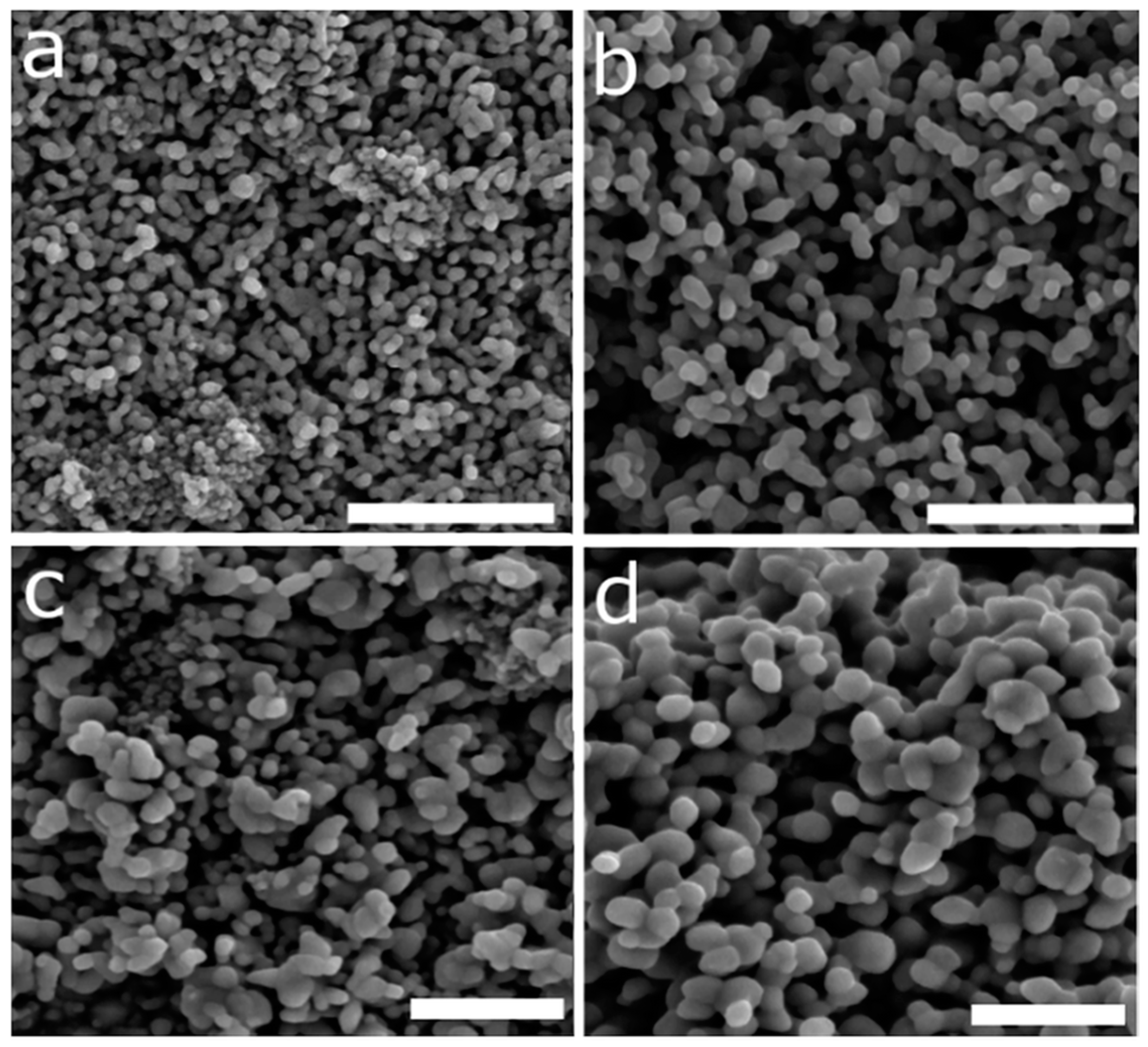 Molecules 24 01224 g007