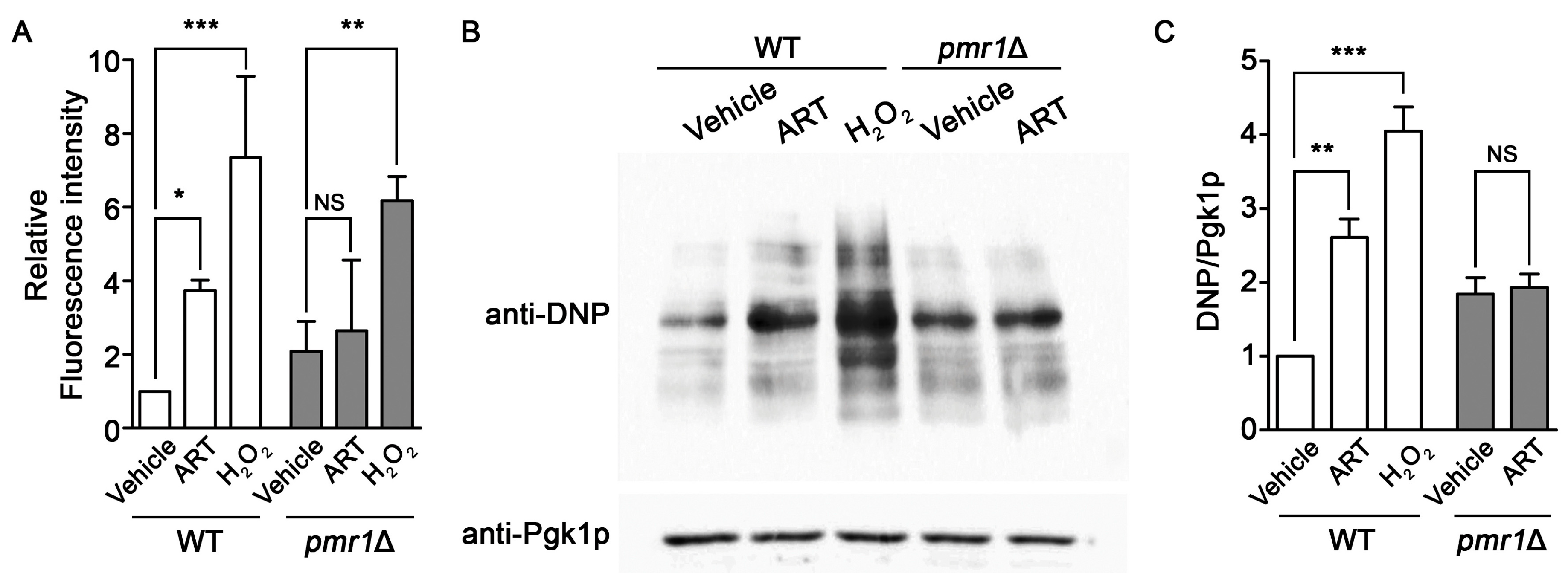 Molecules 24 01233 g006