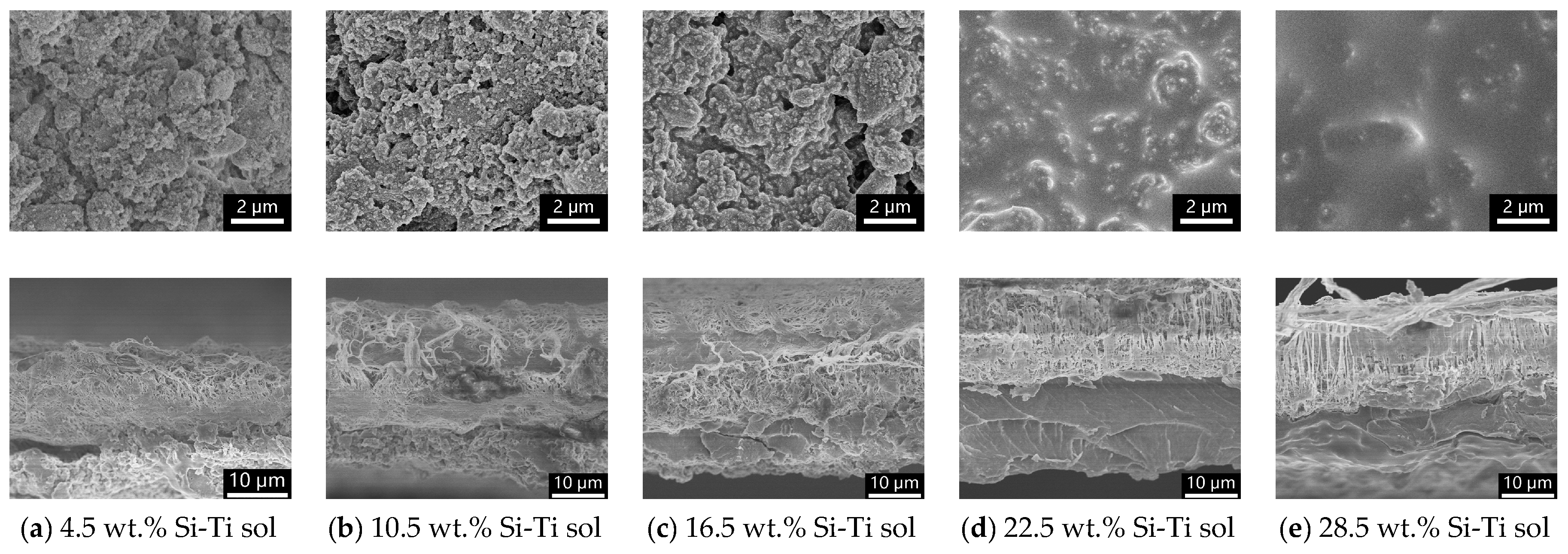 Molecules 24 01246 g004 Molecules 24 01246 g004