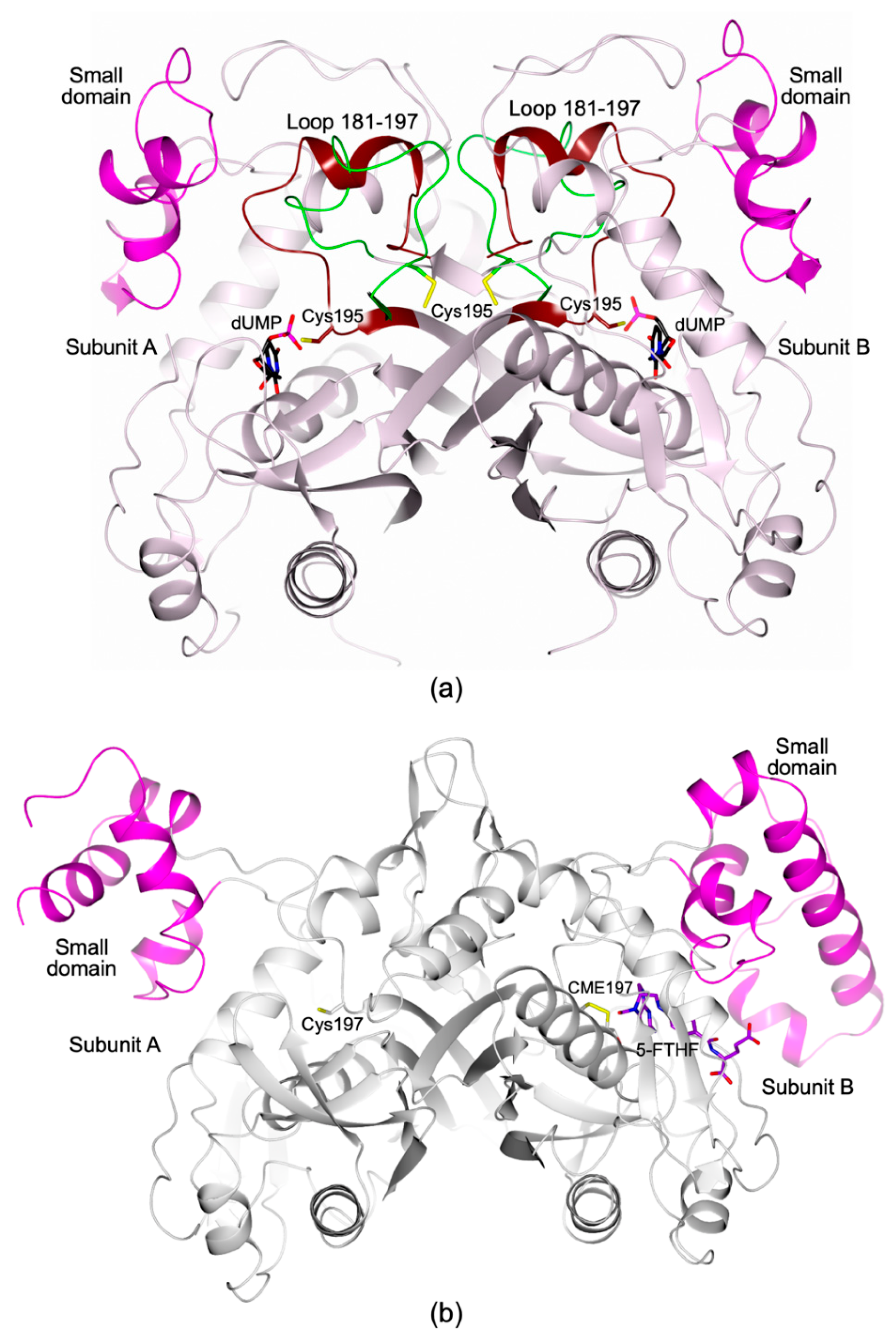 Molecules 24 01257 g001 Molecules 24 01257 g001