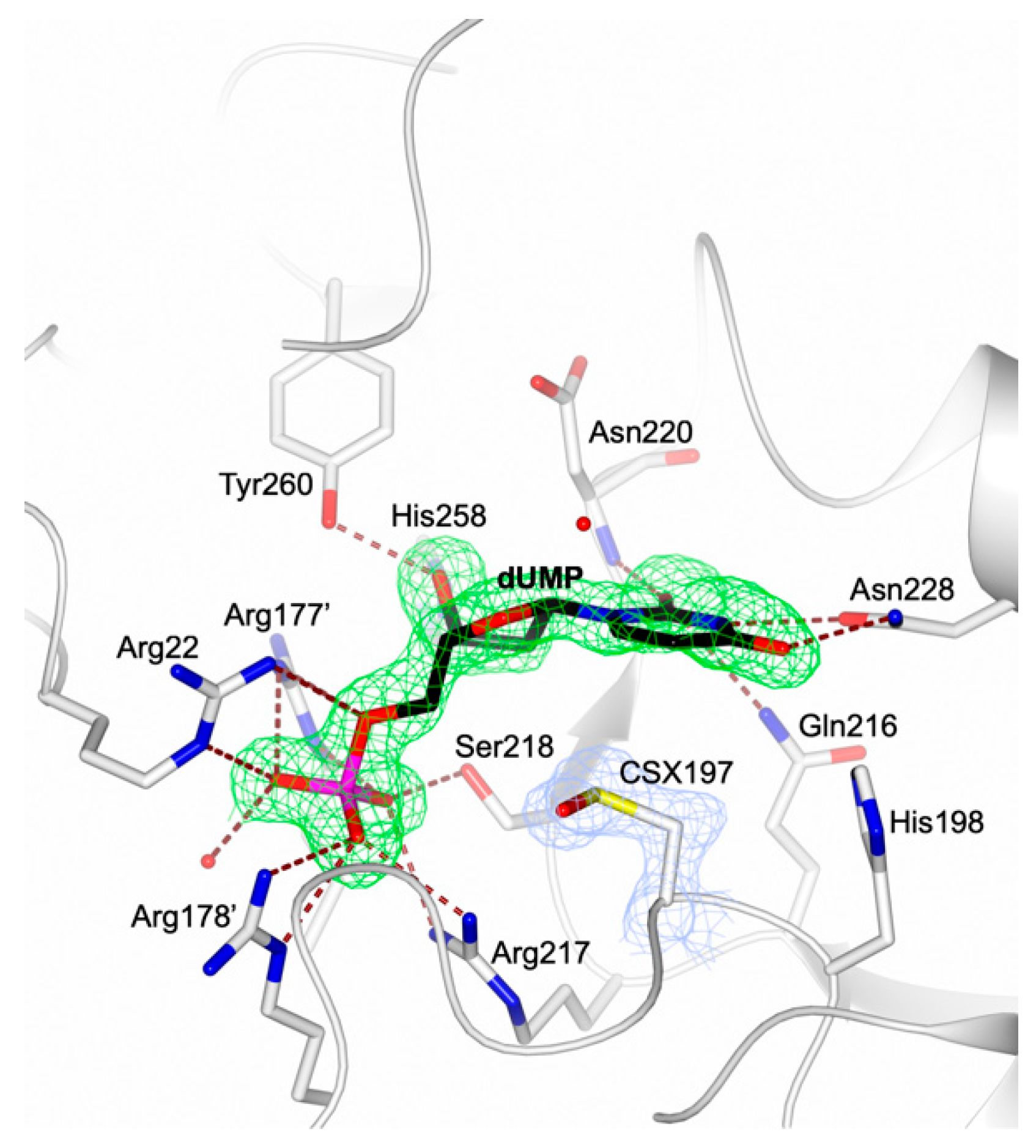 Molecules 24 01257 g003 Molecules 24 01257 g003