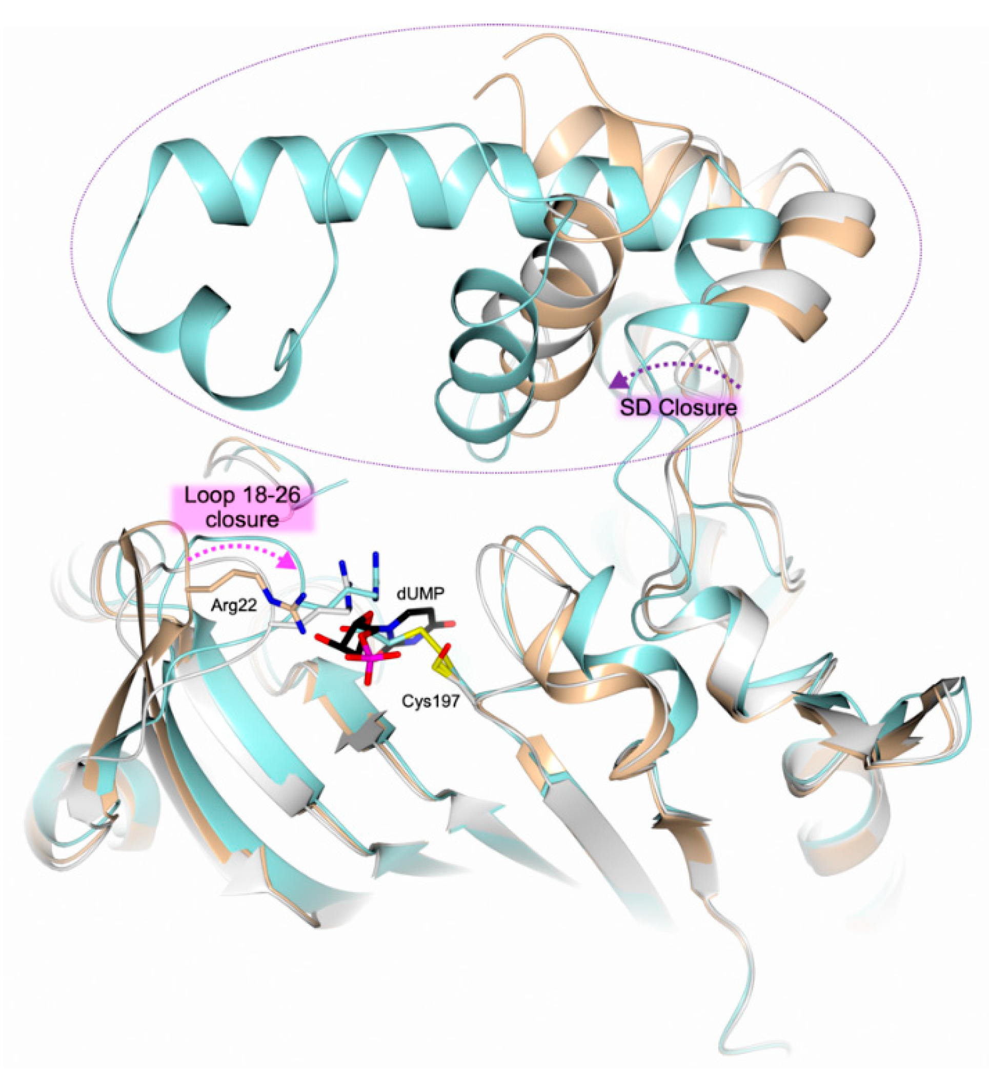 Molecules 24 01257 g004 Molecules 24 01257 g004