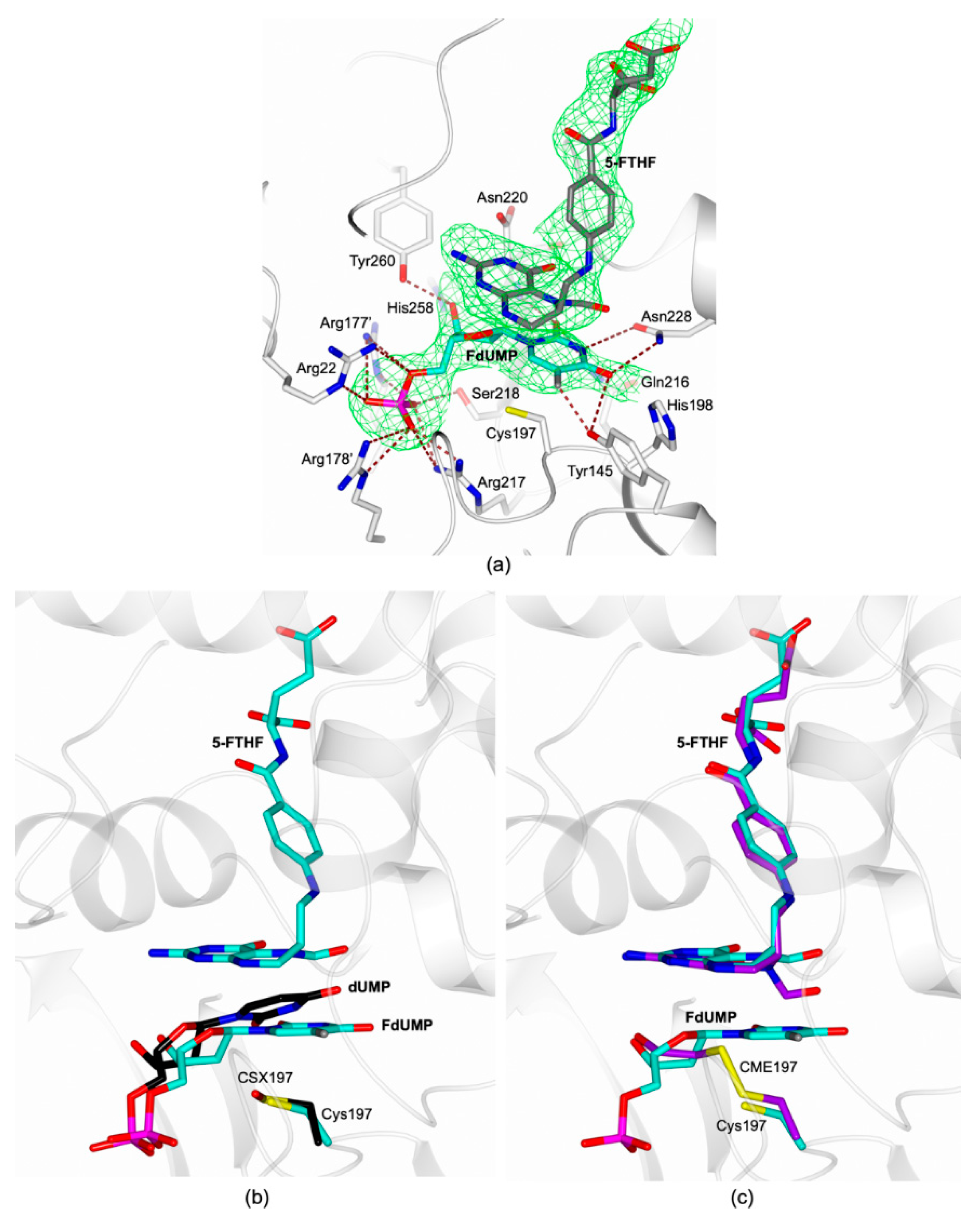 Molecules 24 01257 g005 Molecules 24 01257 g005
