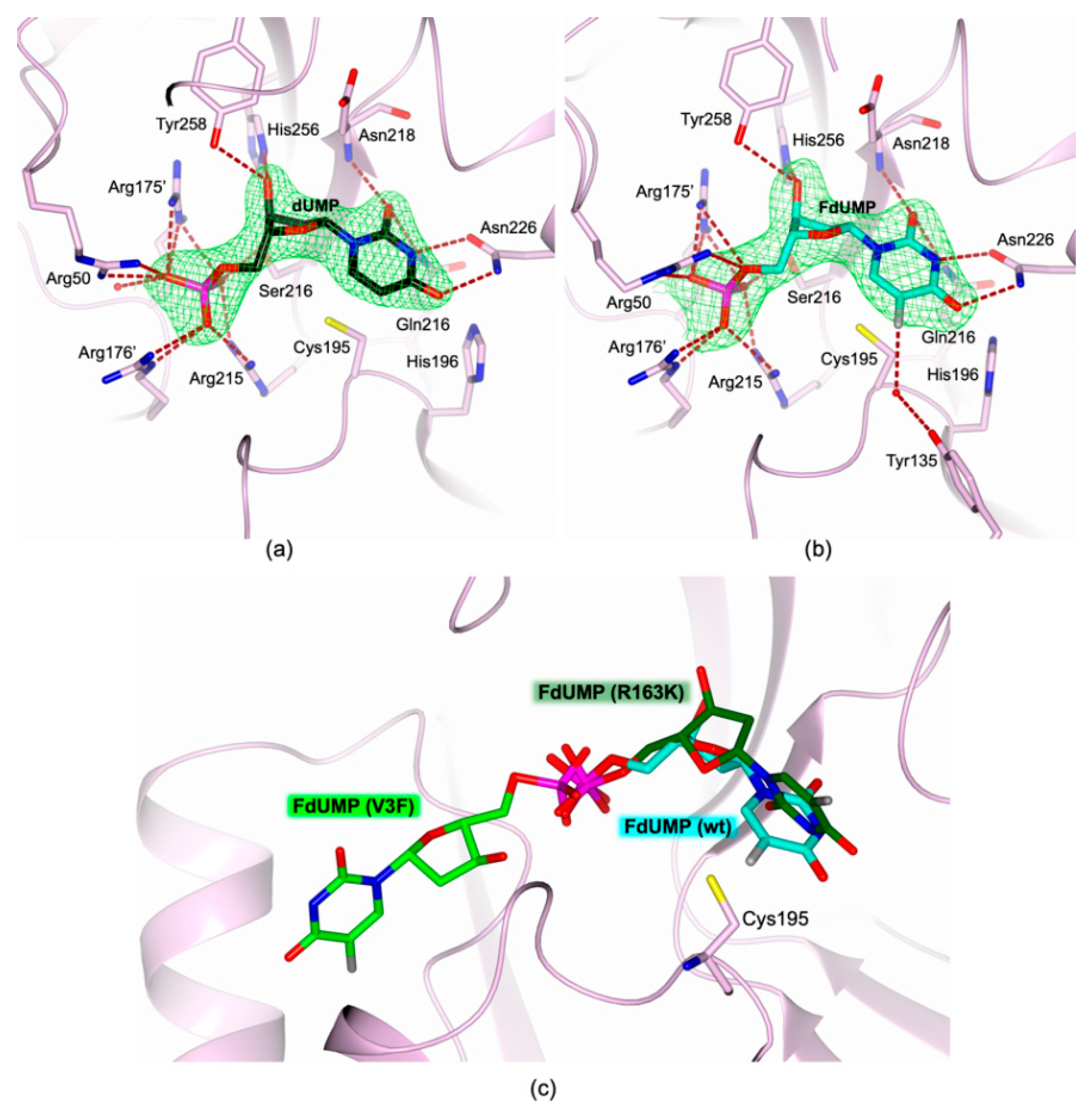 Molecules 24 01257 g006 Molecules 24 01257 g006