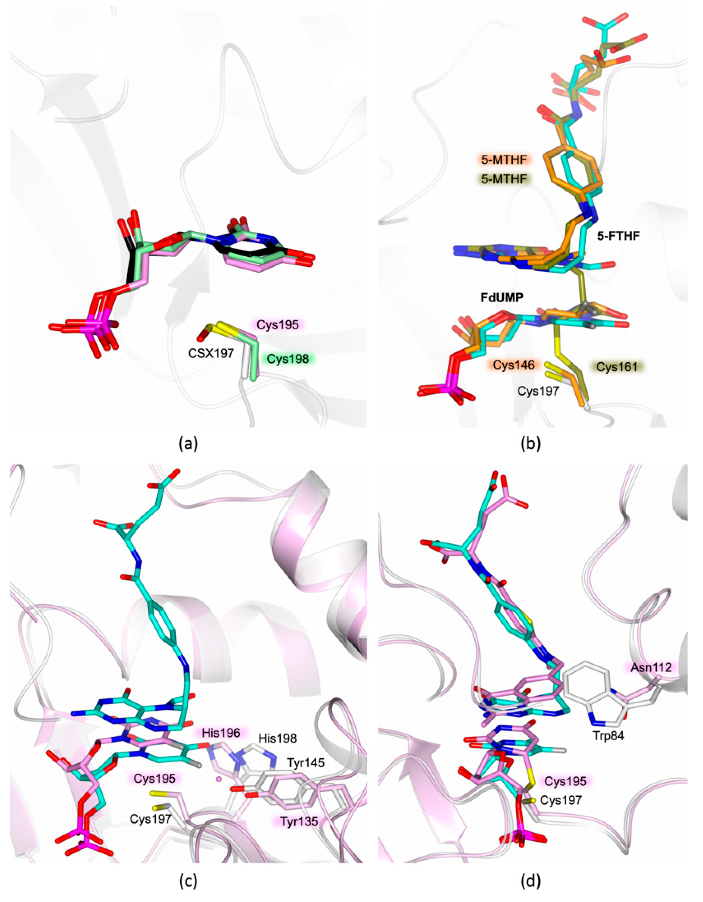 Molecules 24 01257 g007 Molecules 24 01257 g007