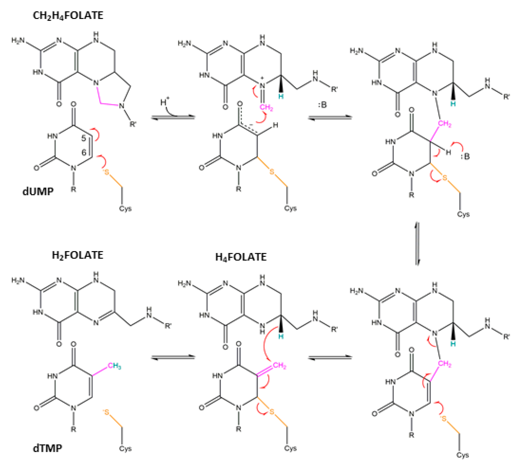 Molecules 24 01257 sch001 Molecules 24 01257 sch001