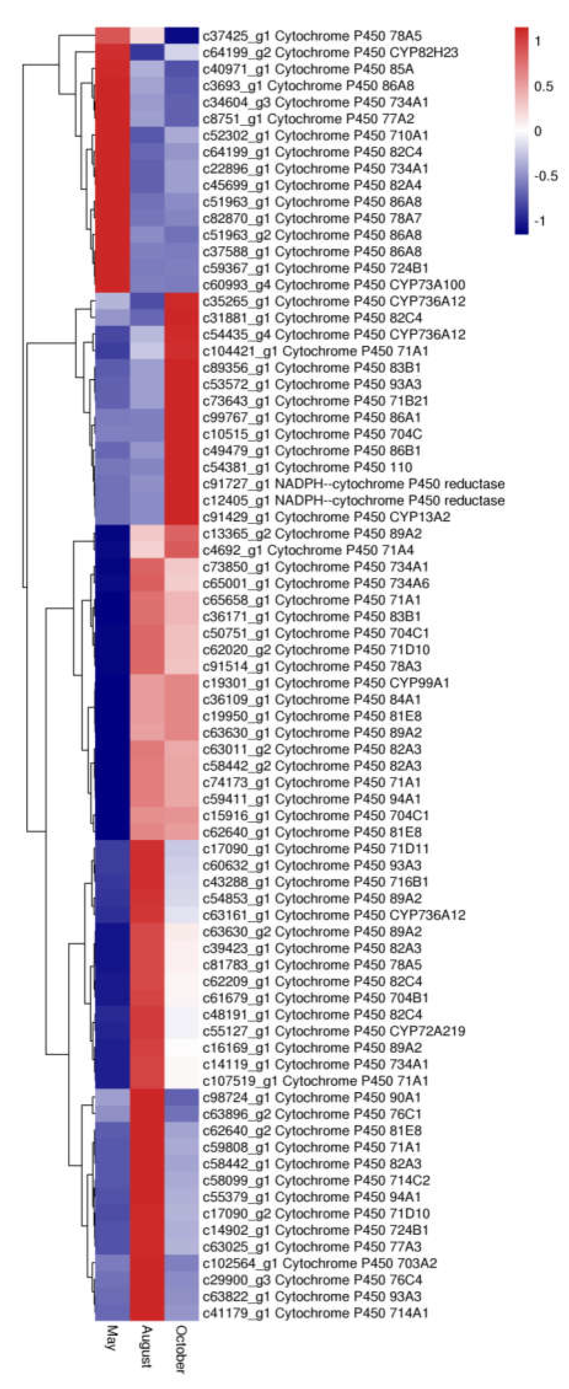 Molecules 24 01267 g011
