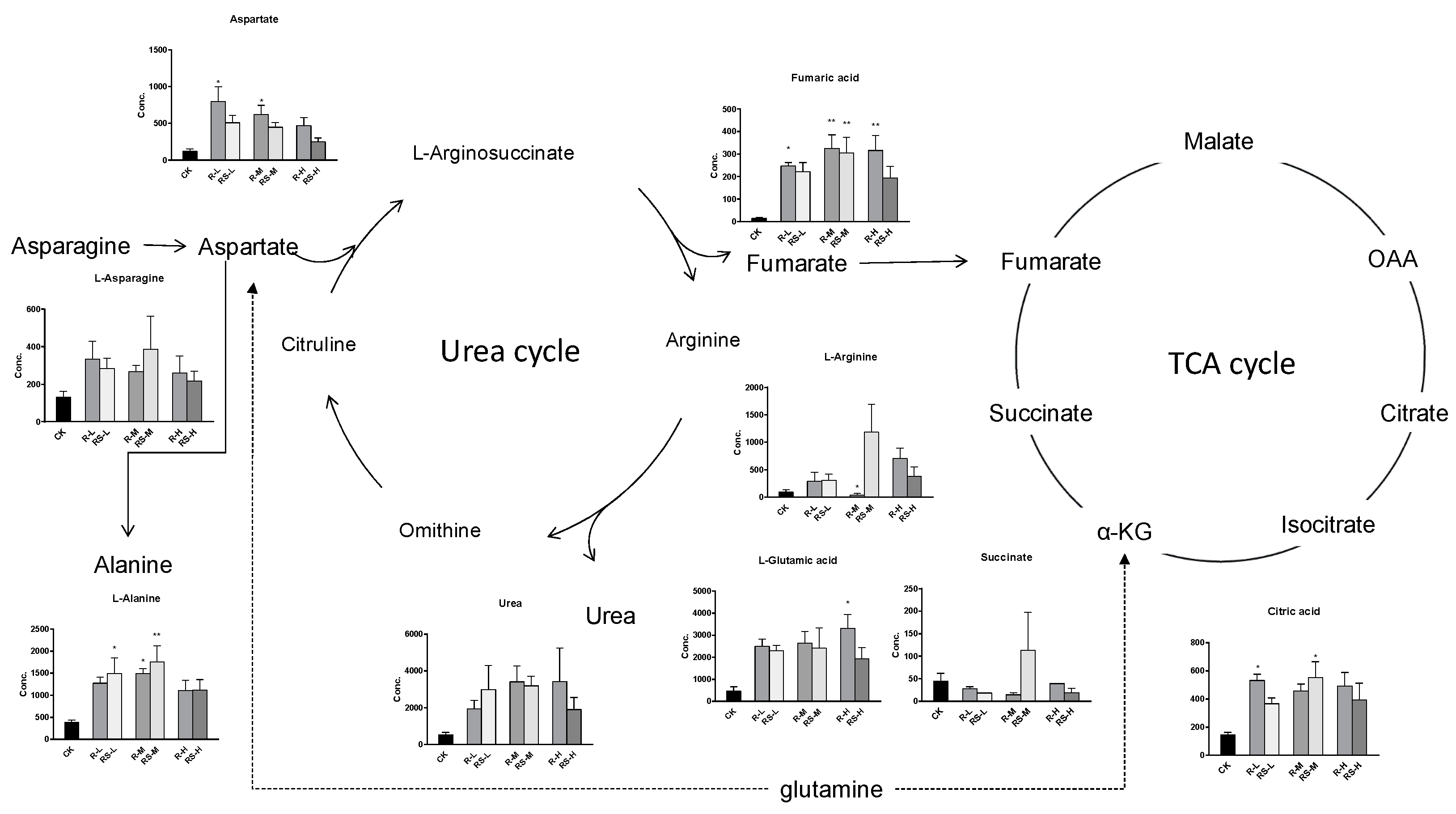 Molecules 24 01293 g005