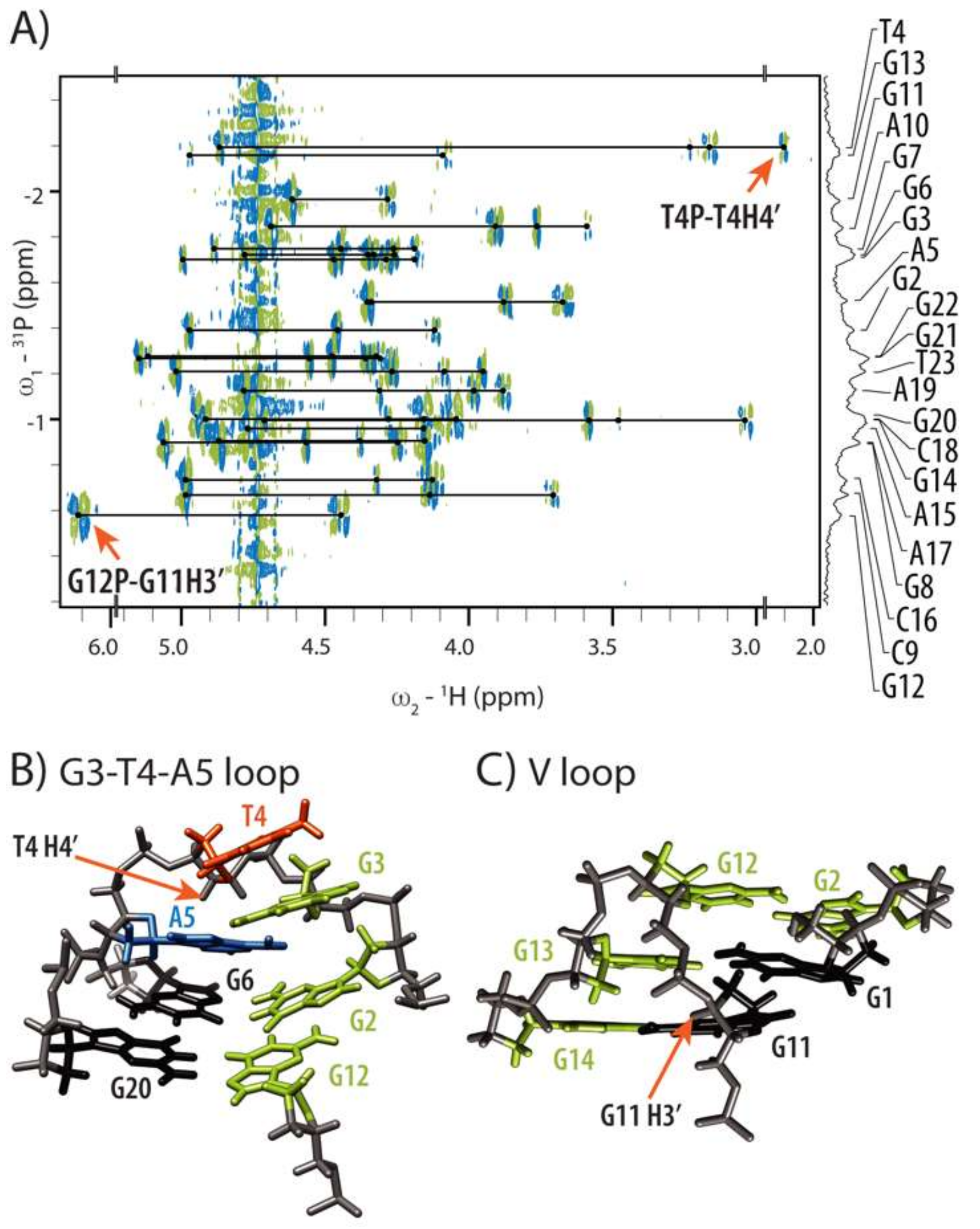 Molecules 24 01294 g004