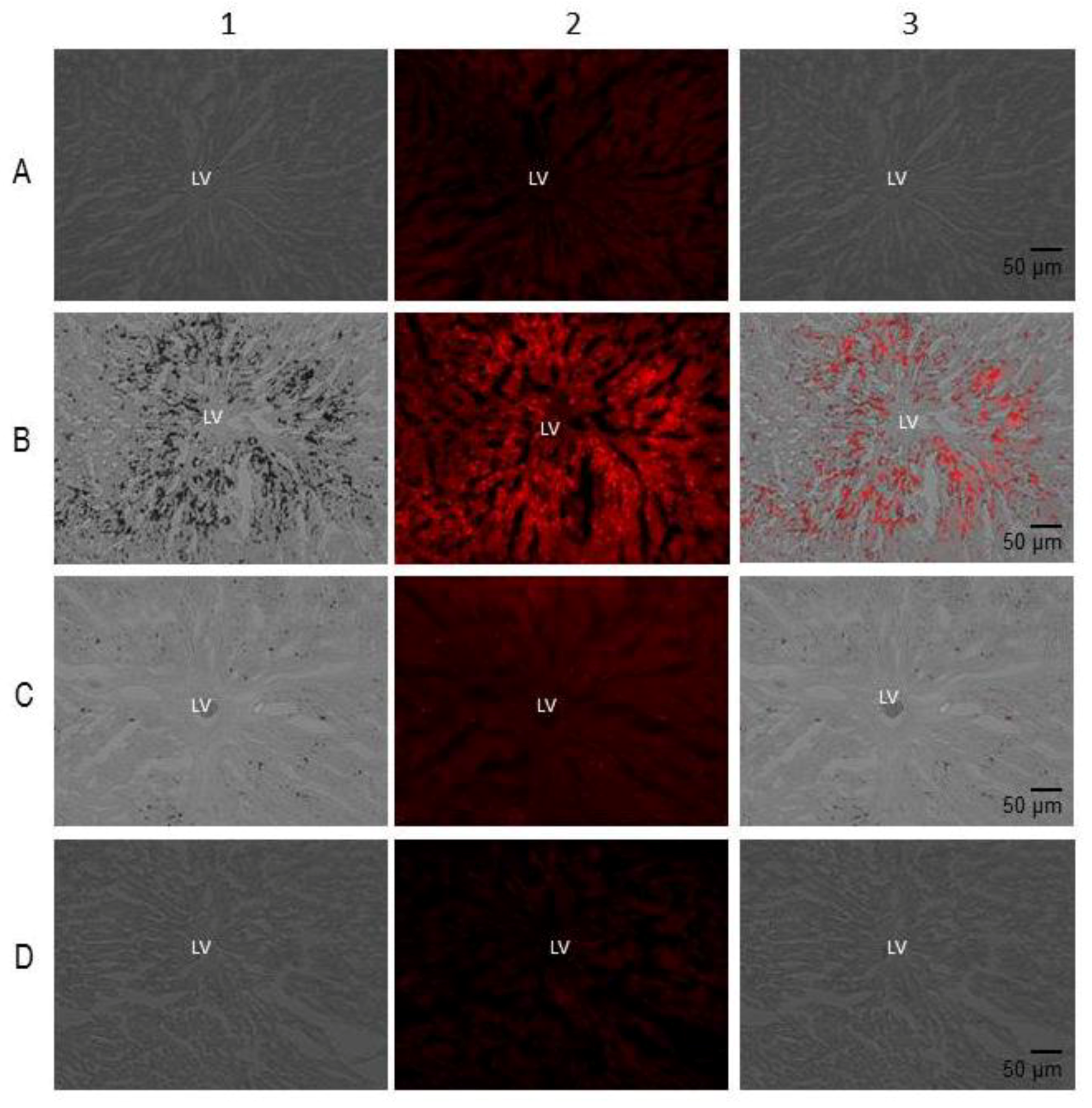 Molecules 24 01297 g001 Molecules 24 01297 g001
