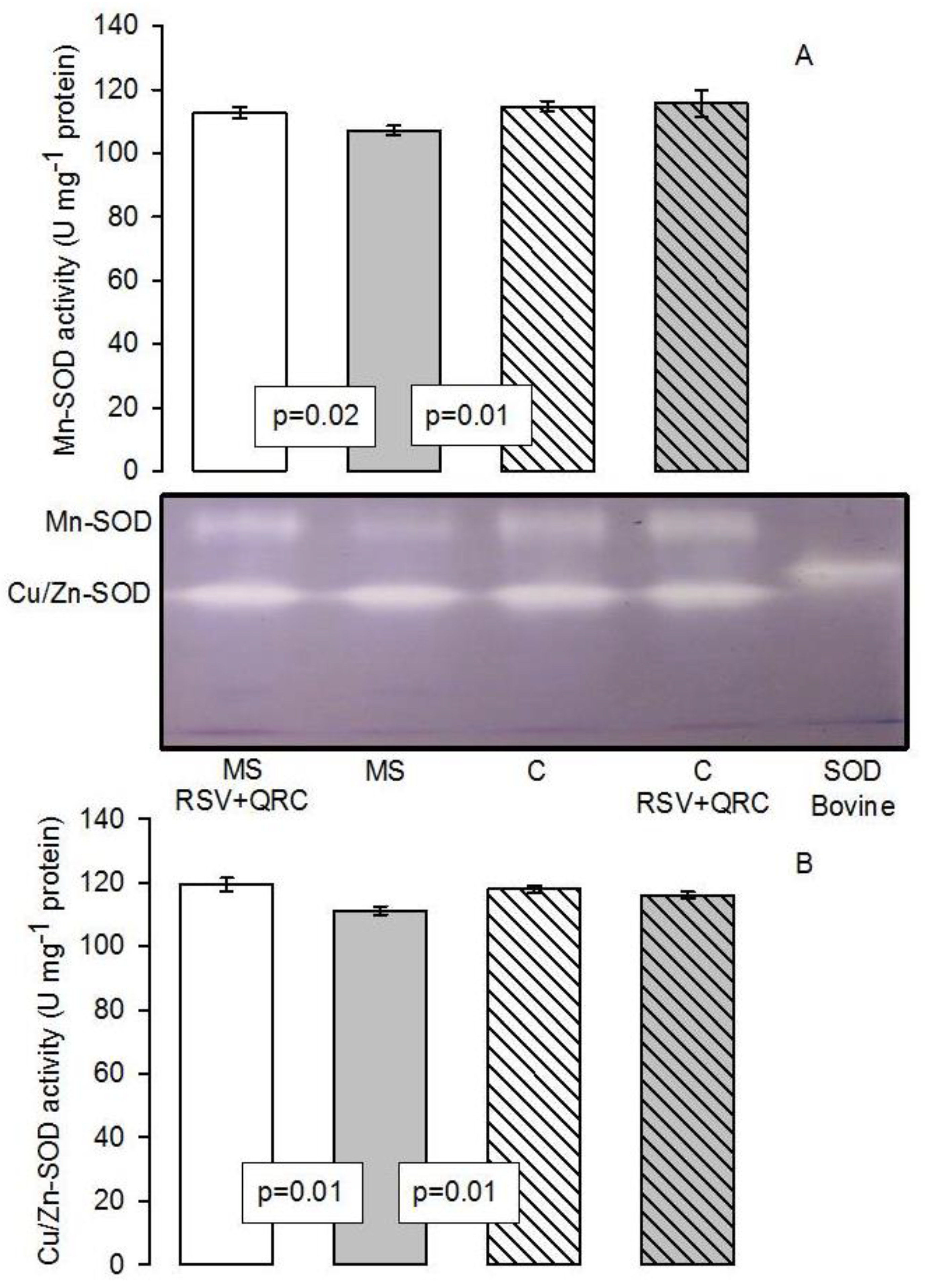 Molecules 24 01297 g003 Molecules 24 01297 g003