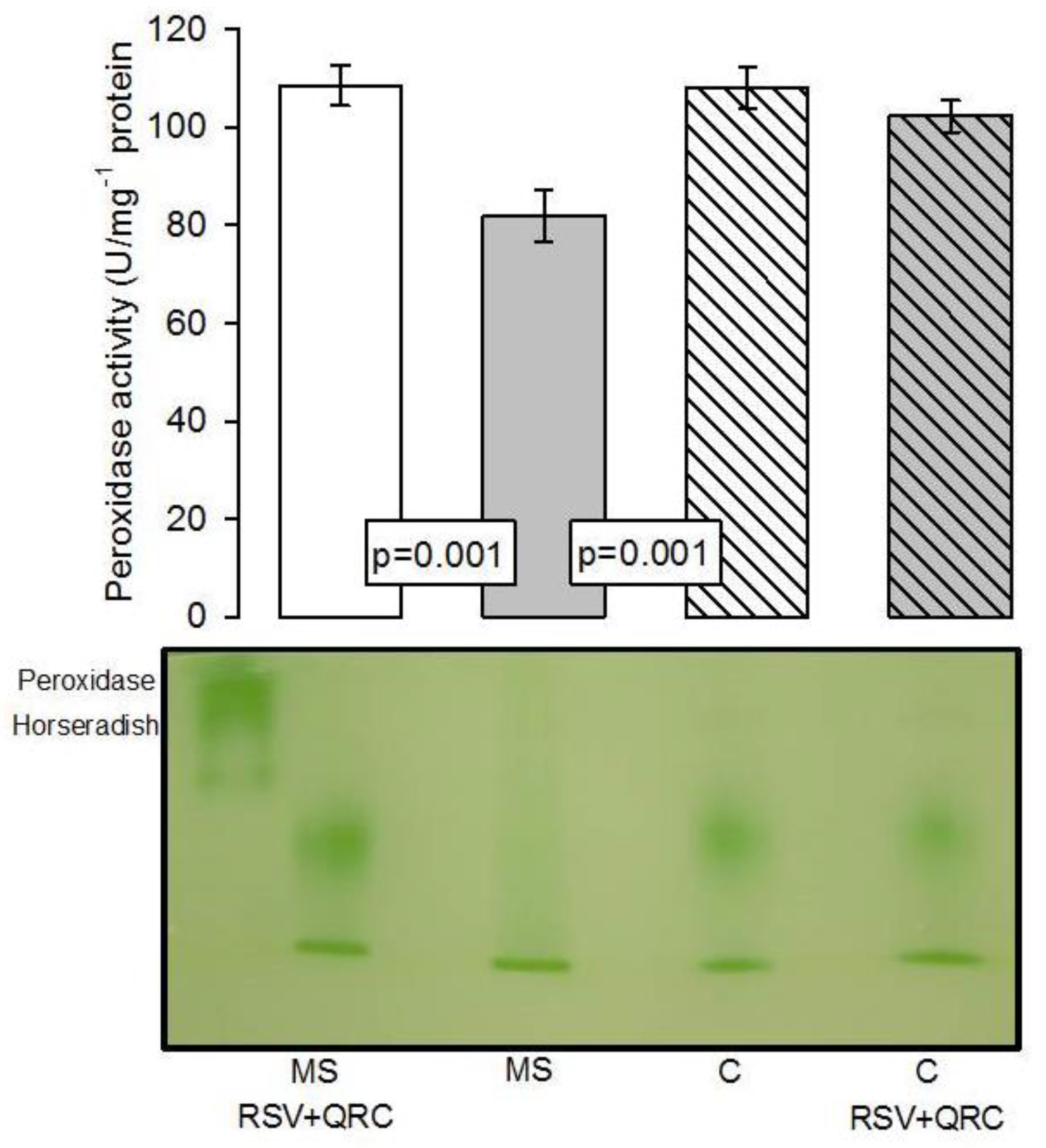 Molecules 24 01297 g005 Molecules 24 01297 g005