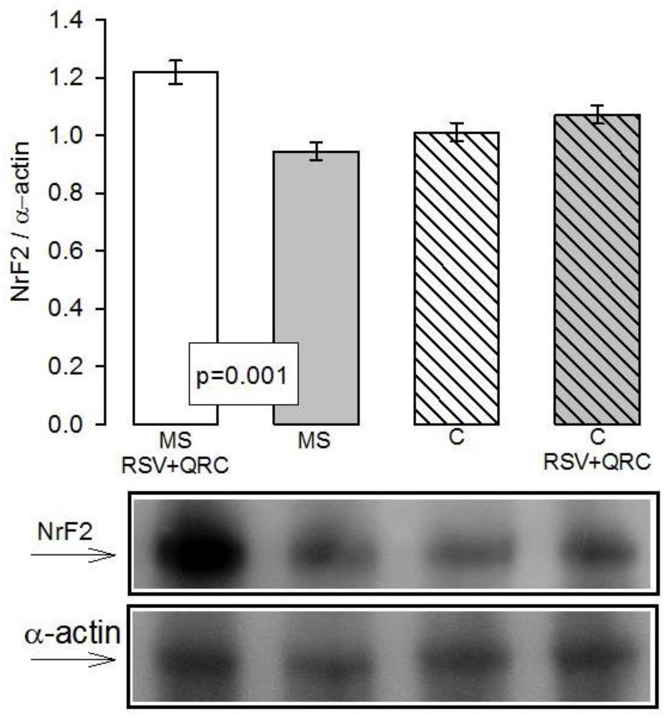 Molecules 24 01297 g007 Molecules 24 01297 g007