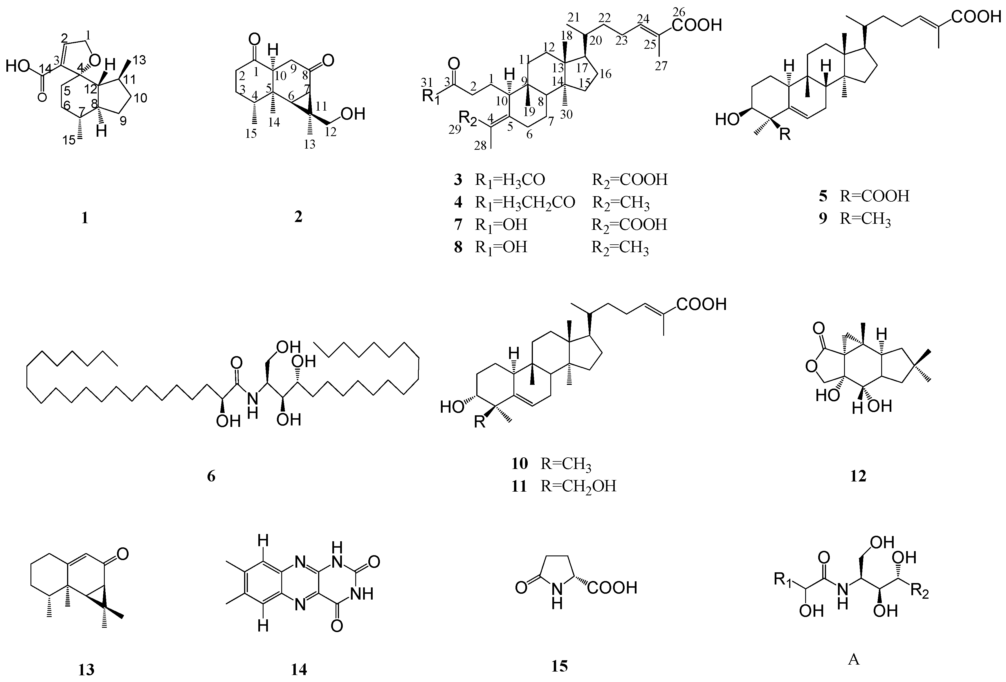 Molecules 24 01305 g001