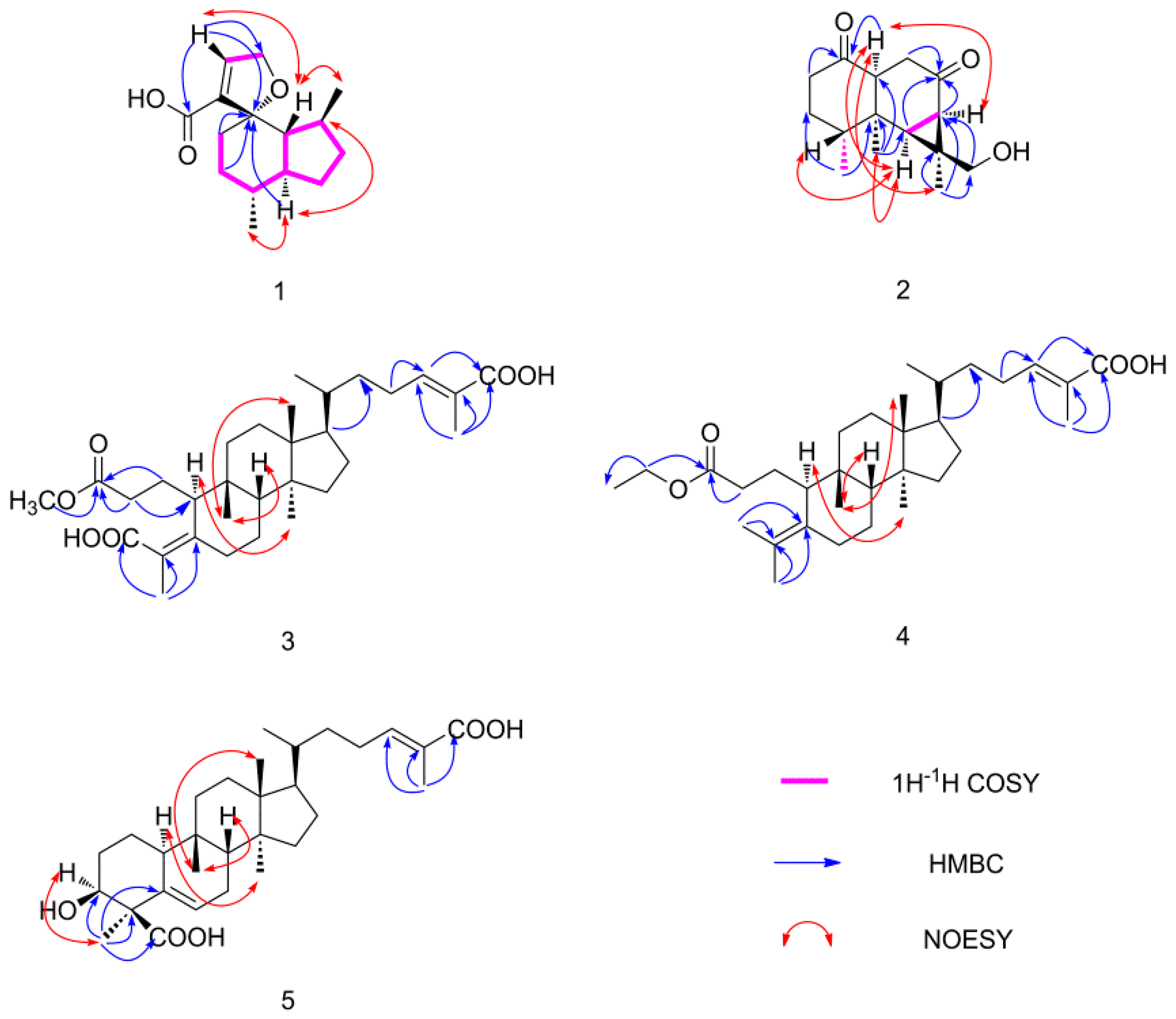 Molecules 24 01305 g002