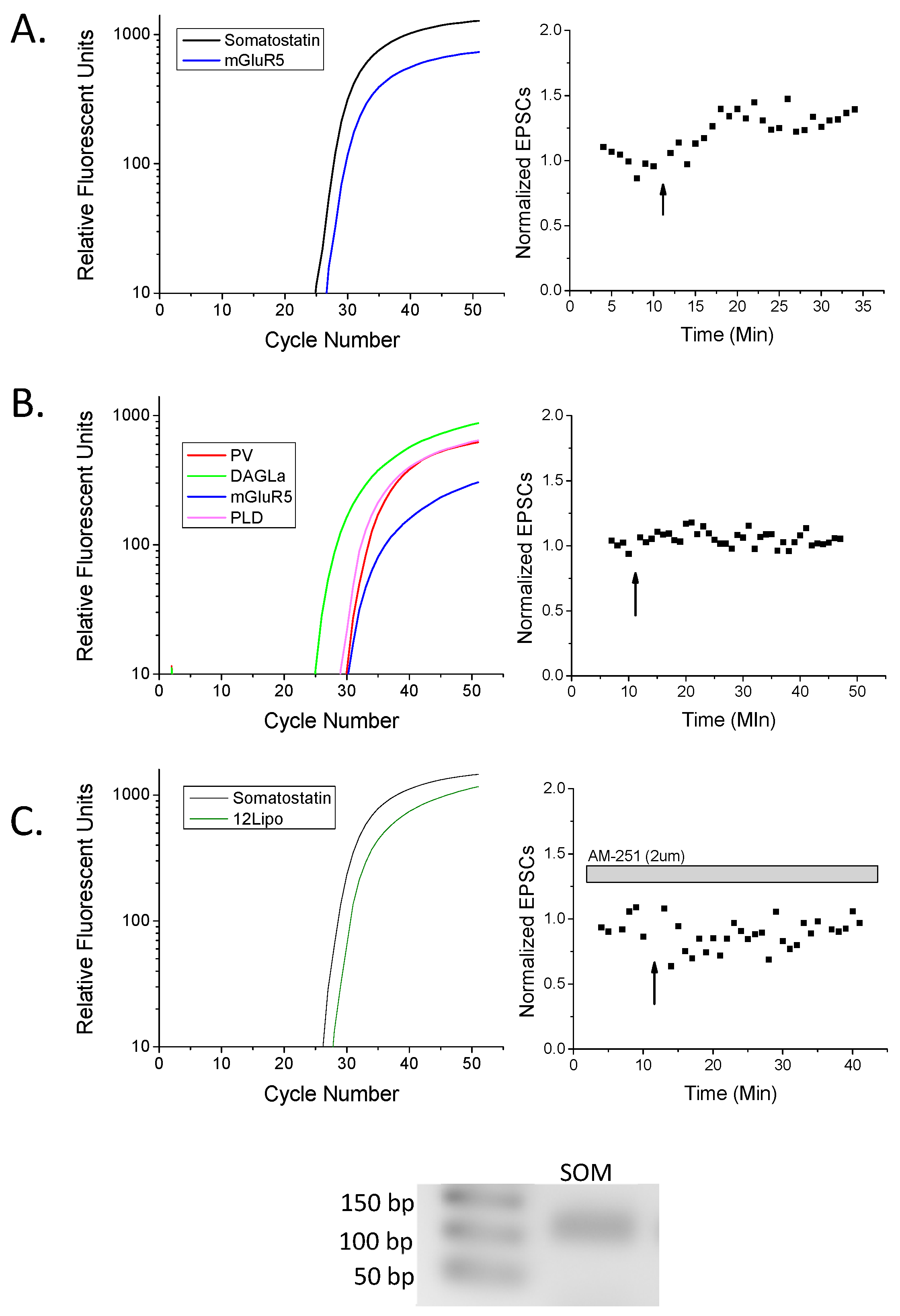 Molecules 24 01306 g002