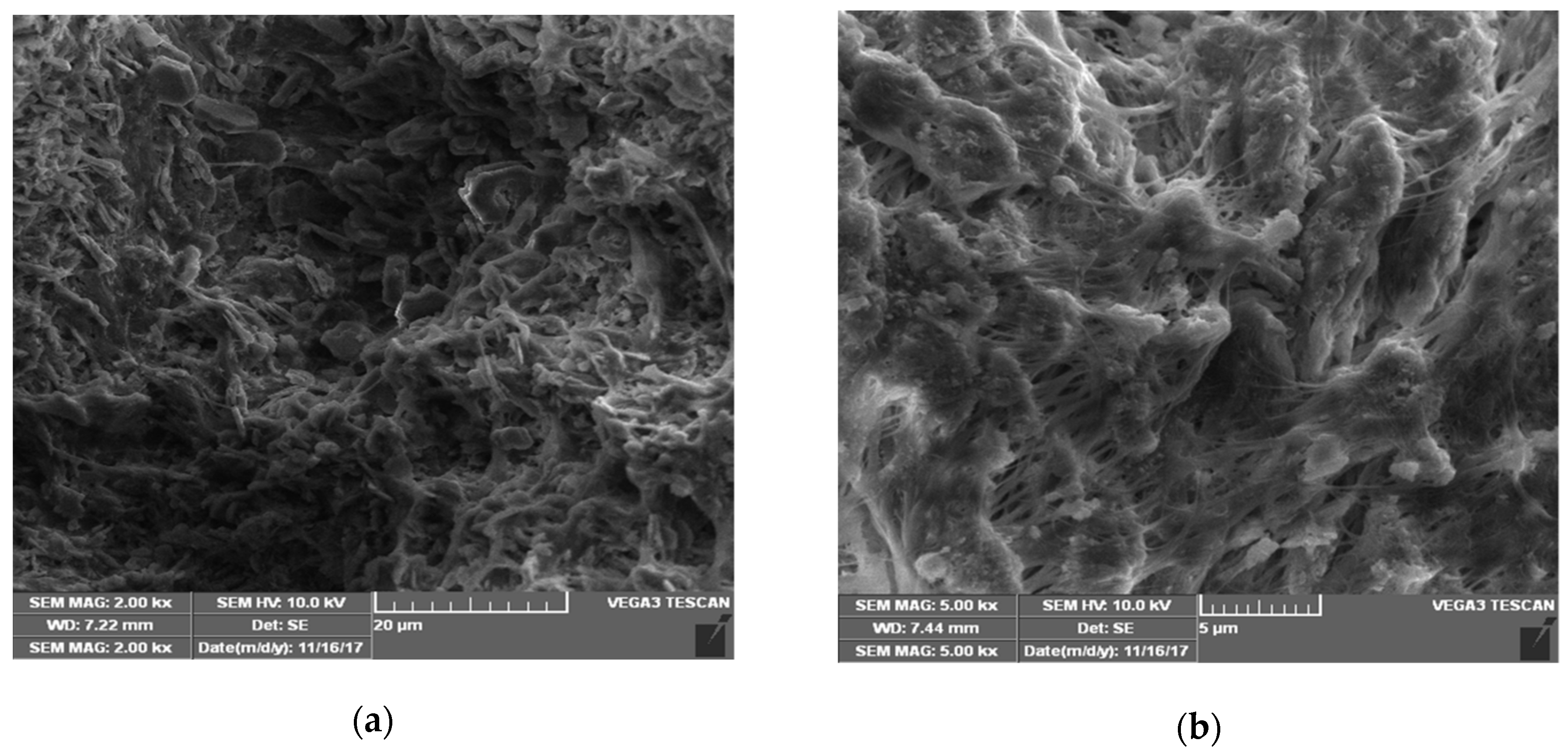 Molecules 24 01312 g001