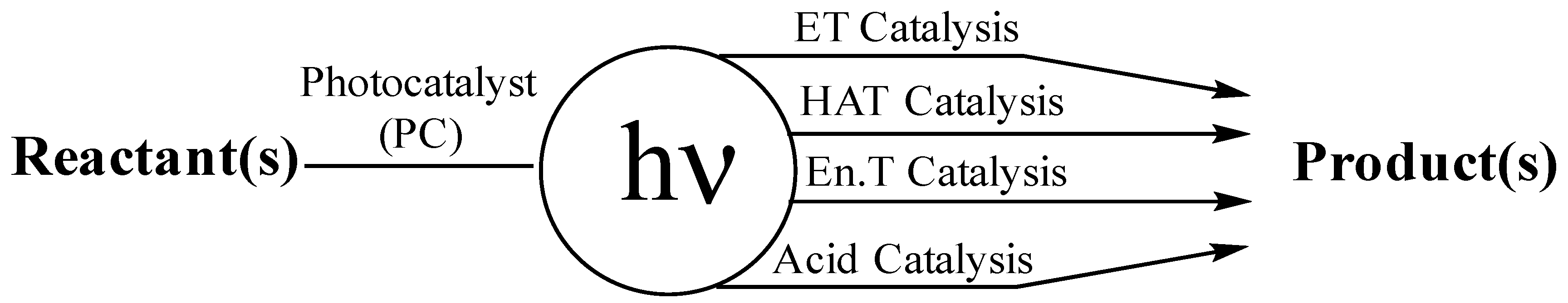 Molecules 24 01318 sch001