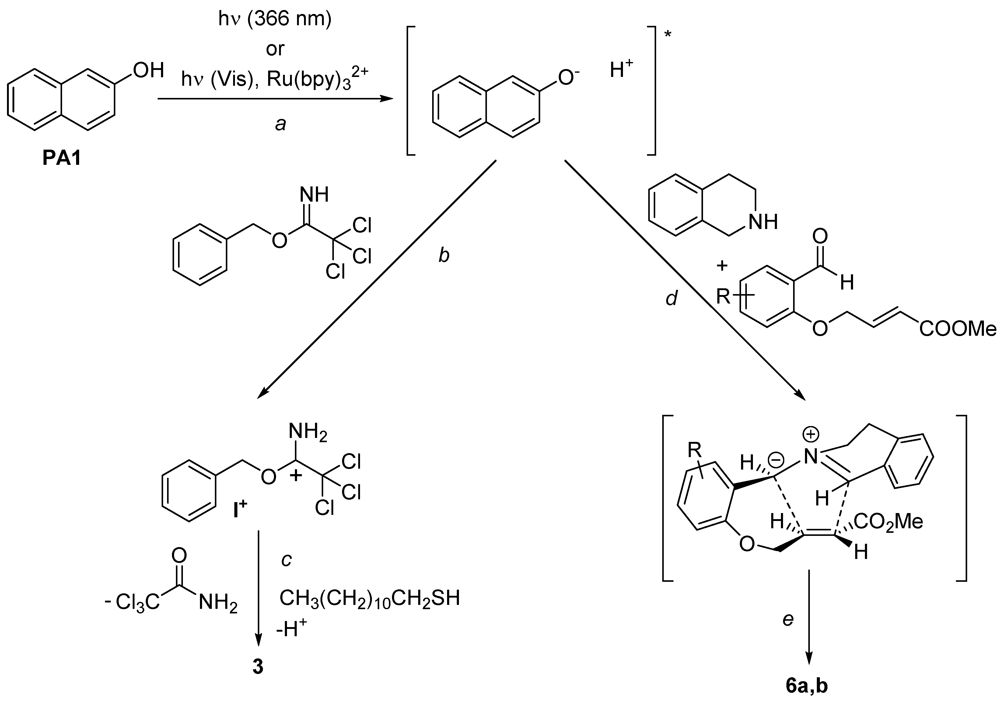 Molecules 24 01318 sch002