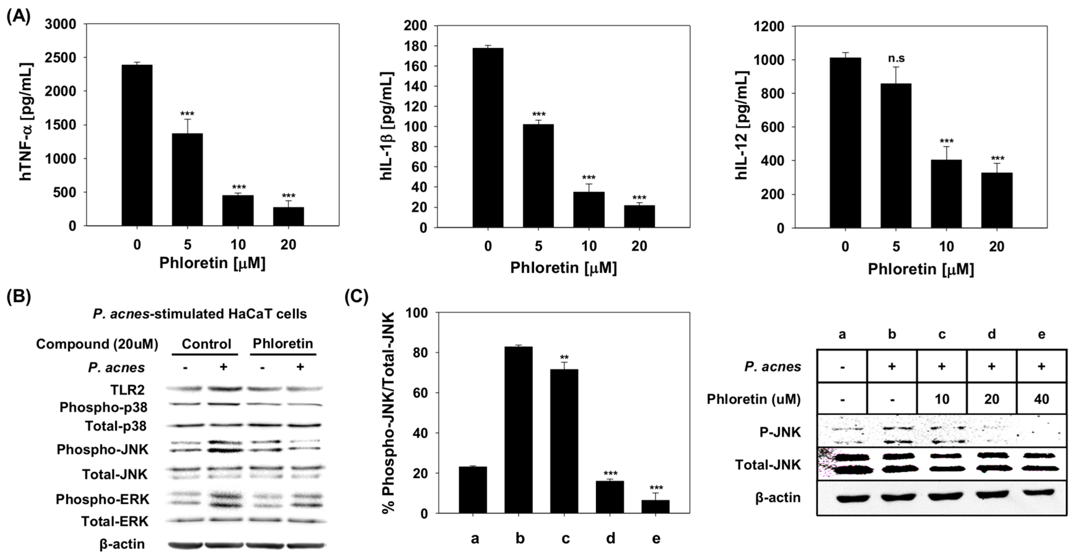Molecules 24 01319 g004