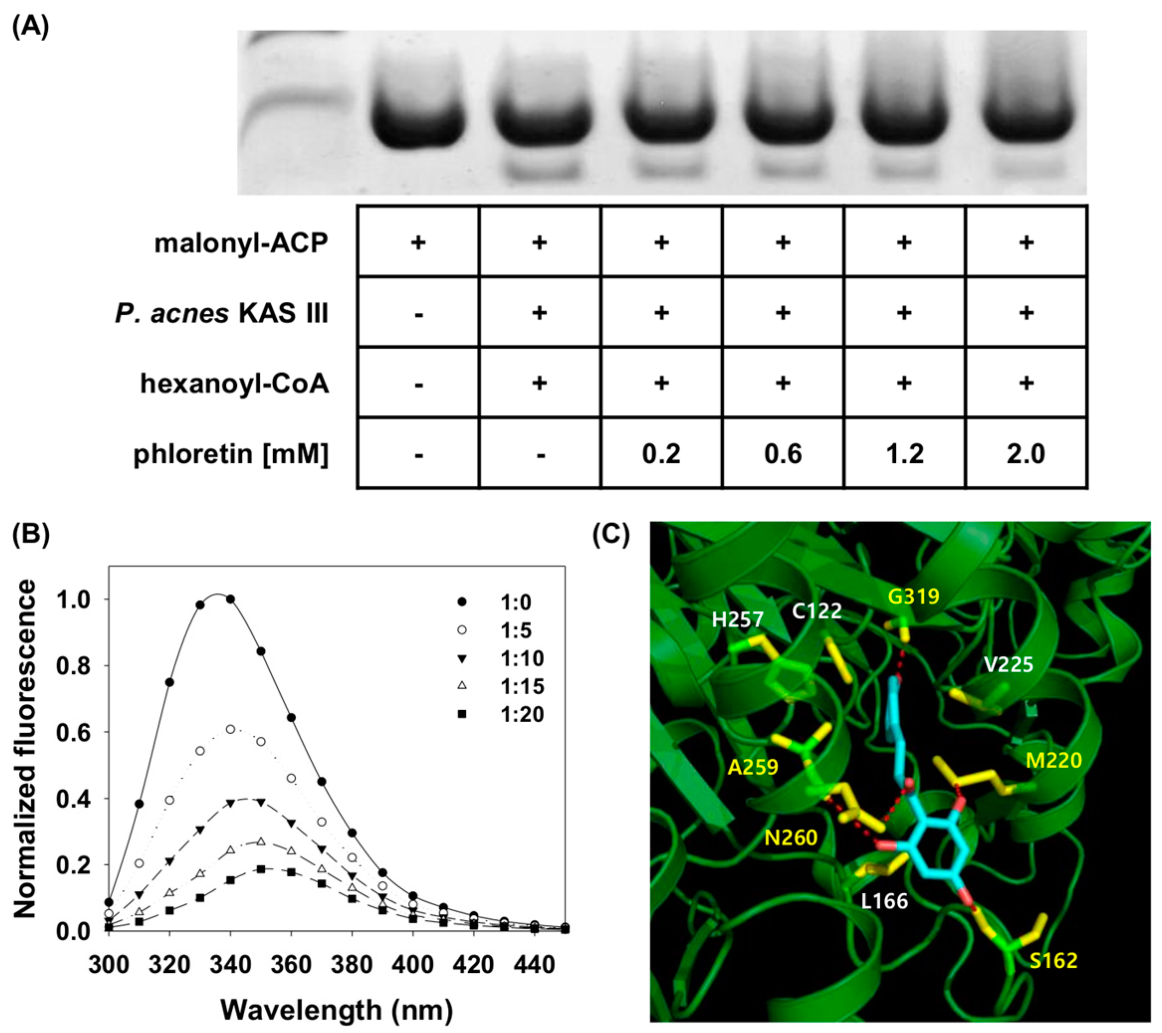 Molecules 24 01319 g006