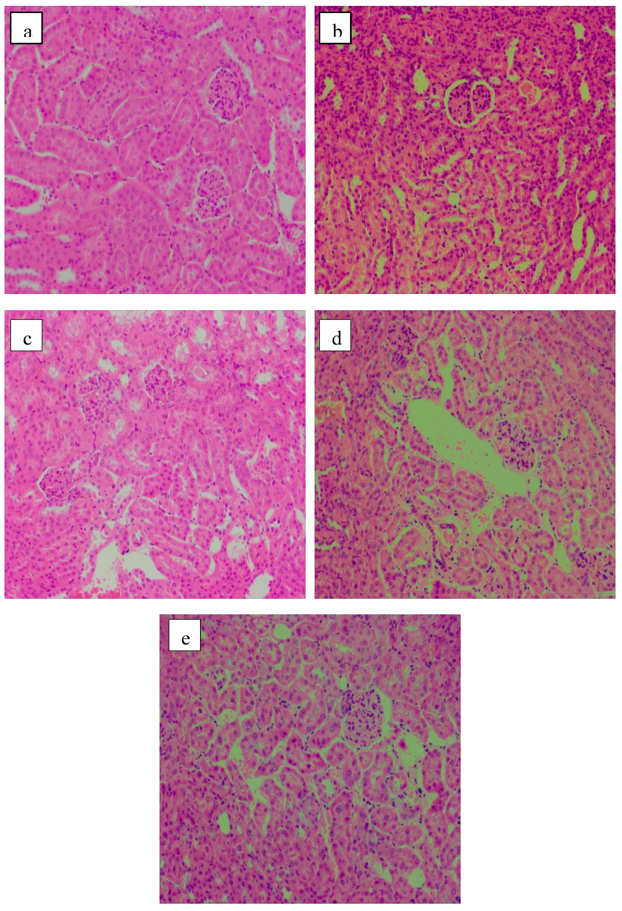 Molecules 24 01343 g005 Molecules 24 01343 g005