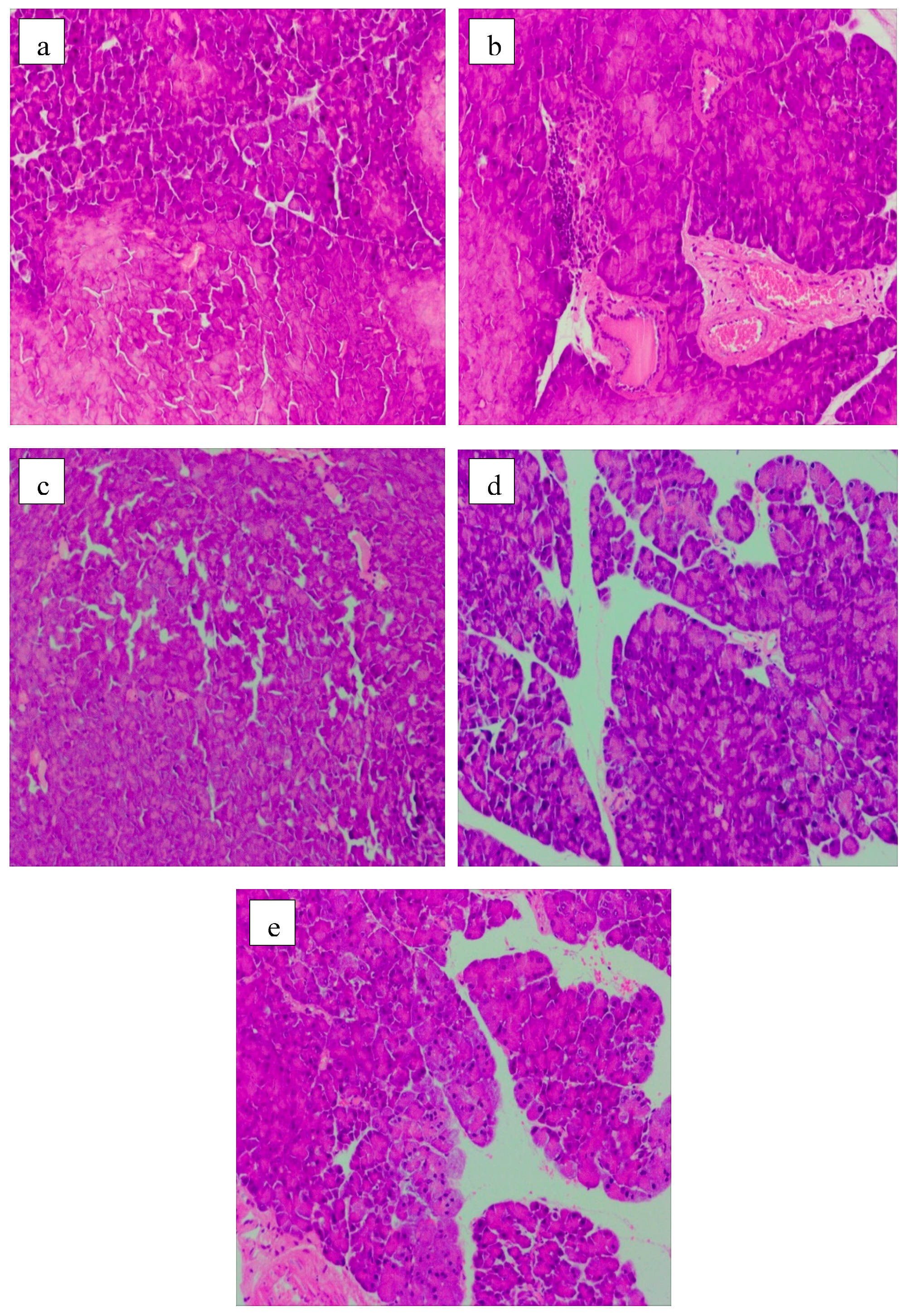 Molecules 24 01343 g006 Molecules 24 01343 g006