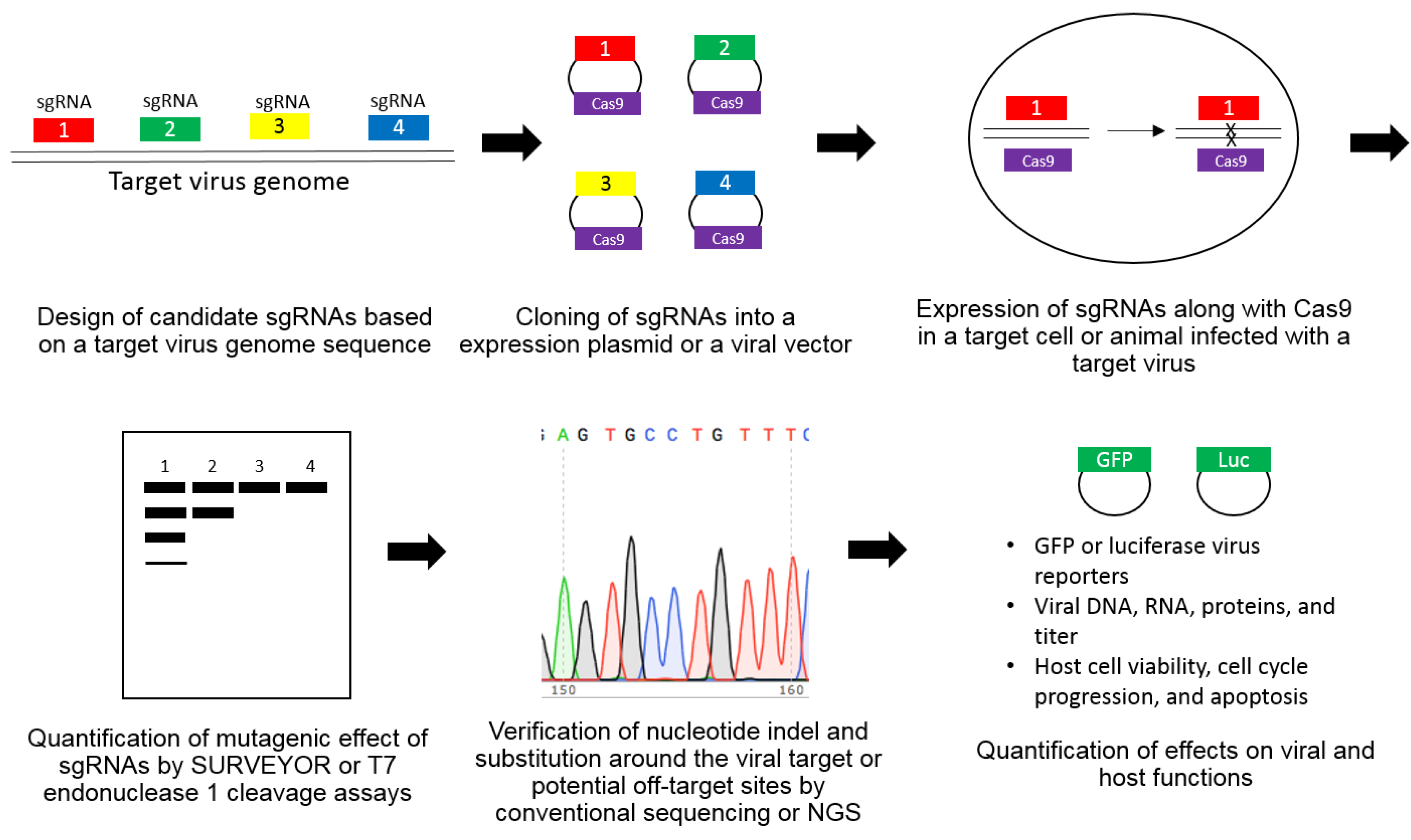 Molecules 24 01349 g001