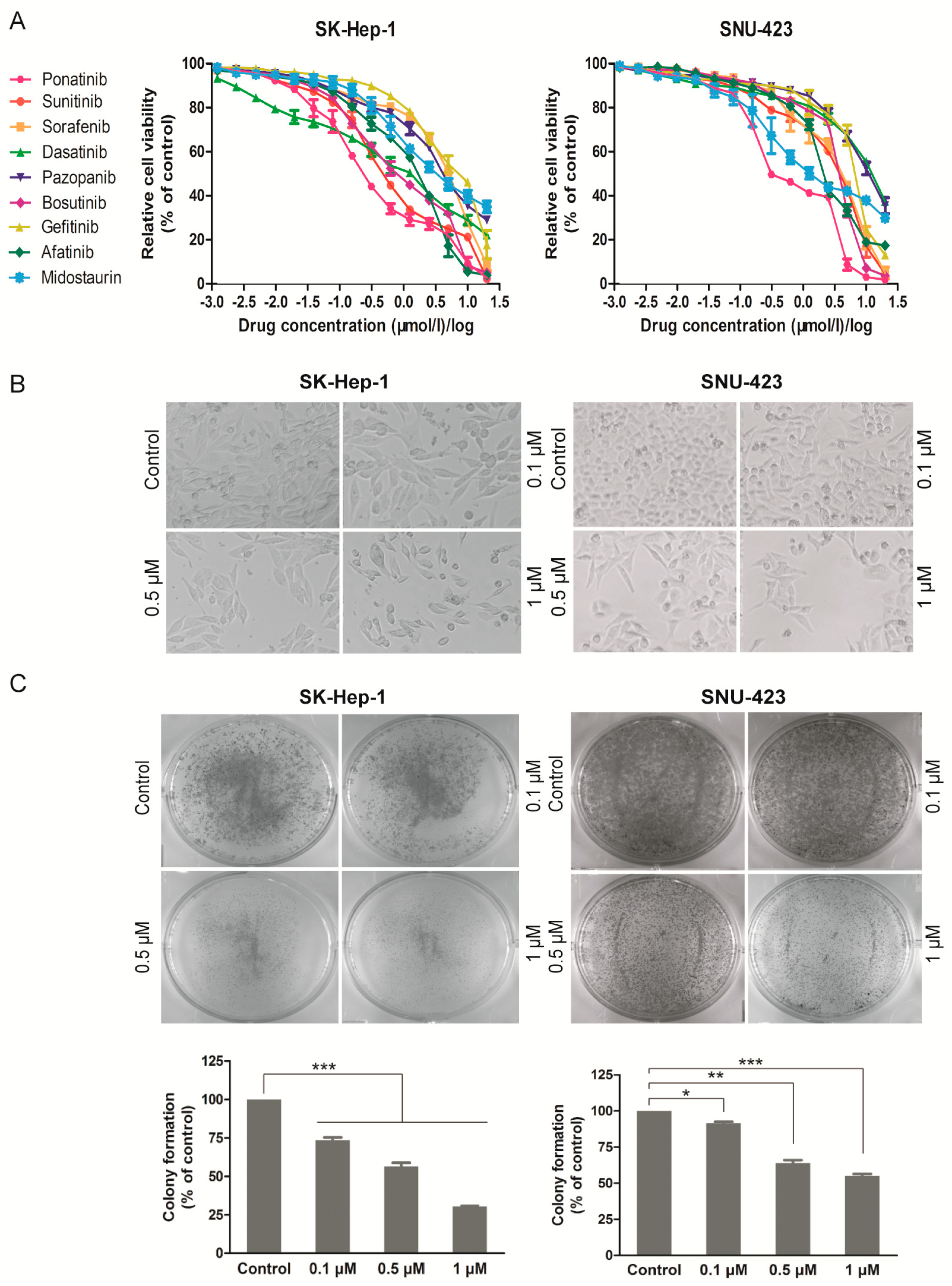 Molecules 24 01363 g001