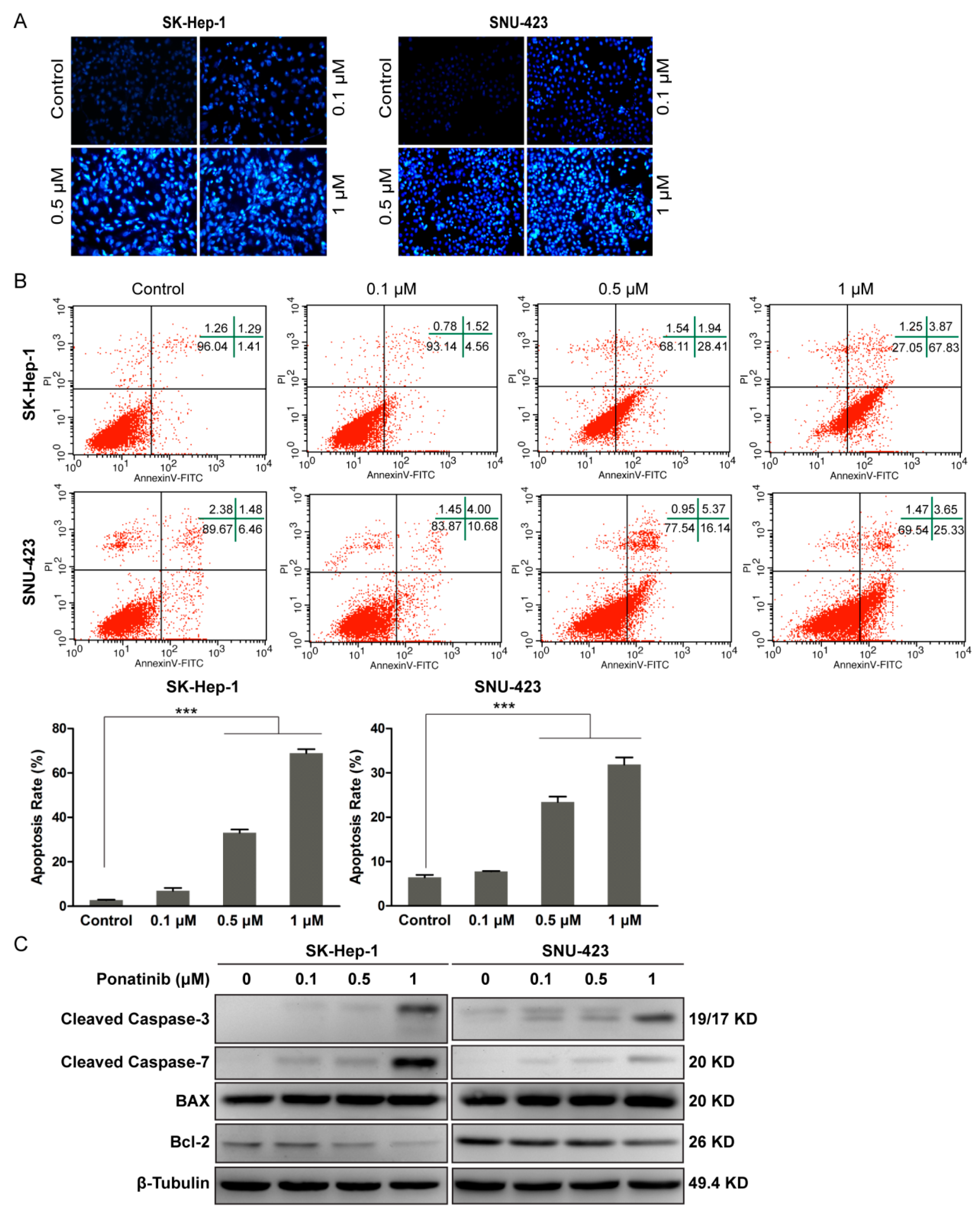 Molecules 24 01363 g002