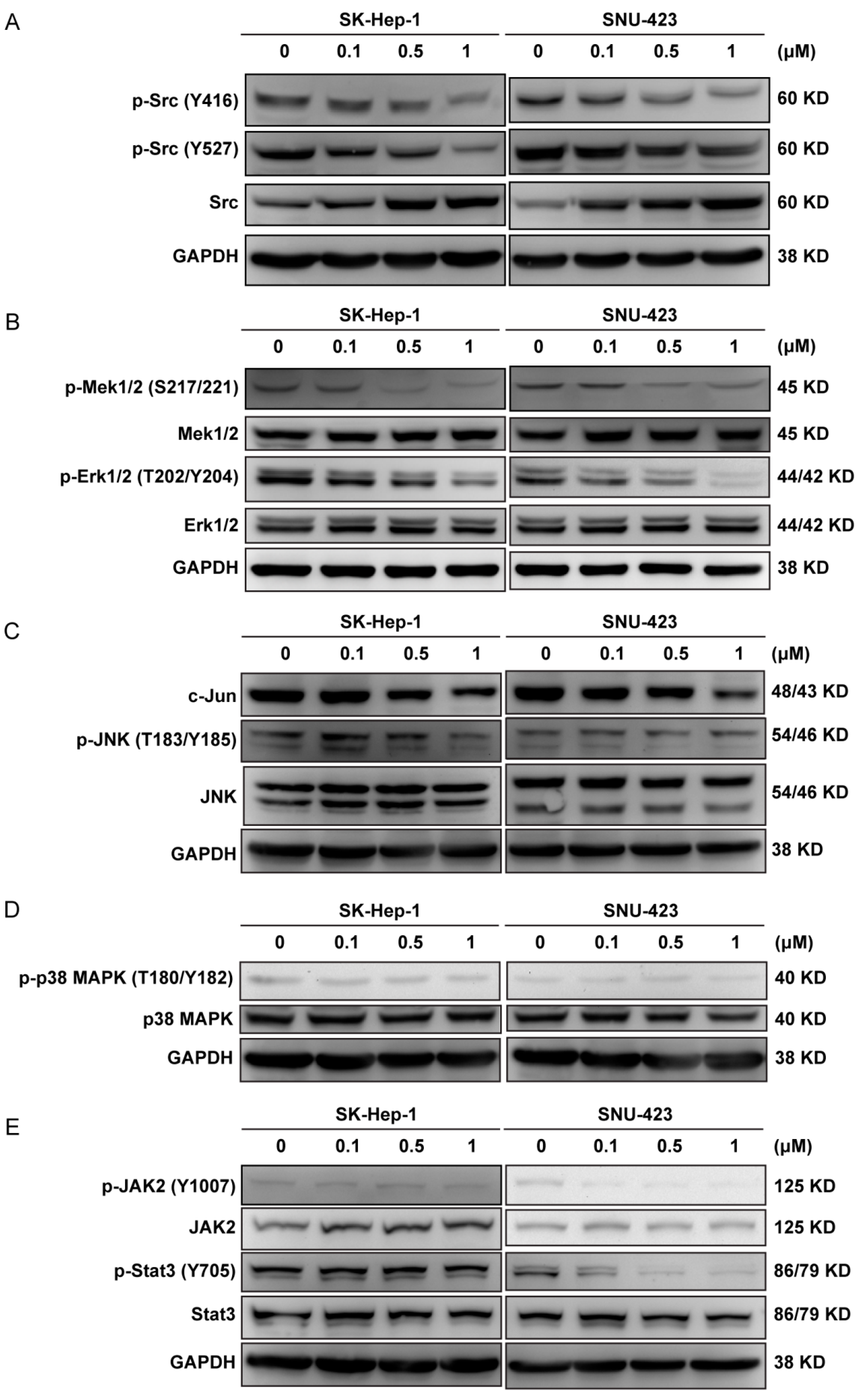 Molecules 24 01363 g004