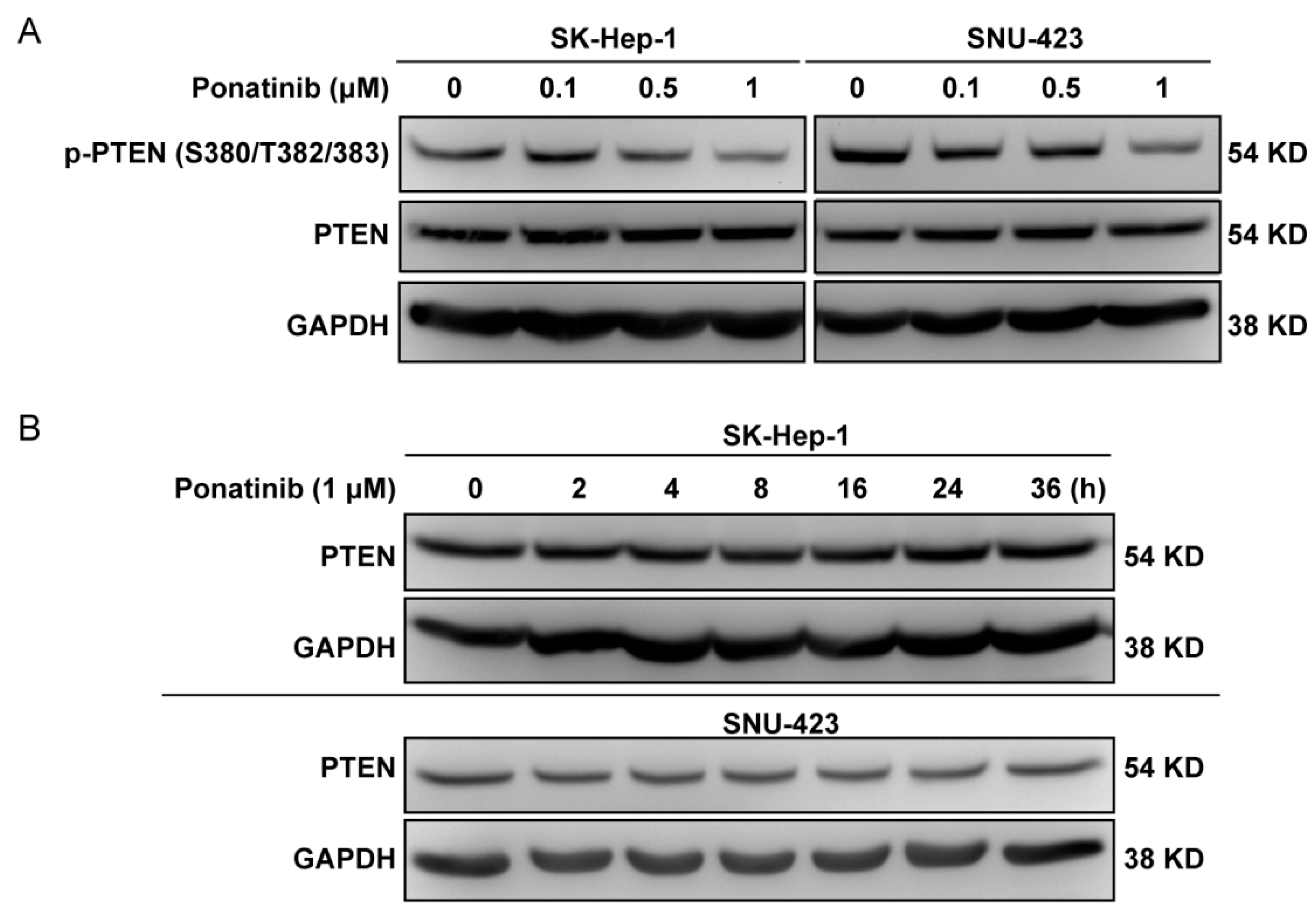 Molecules 24 01363 g006