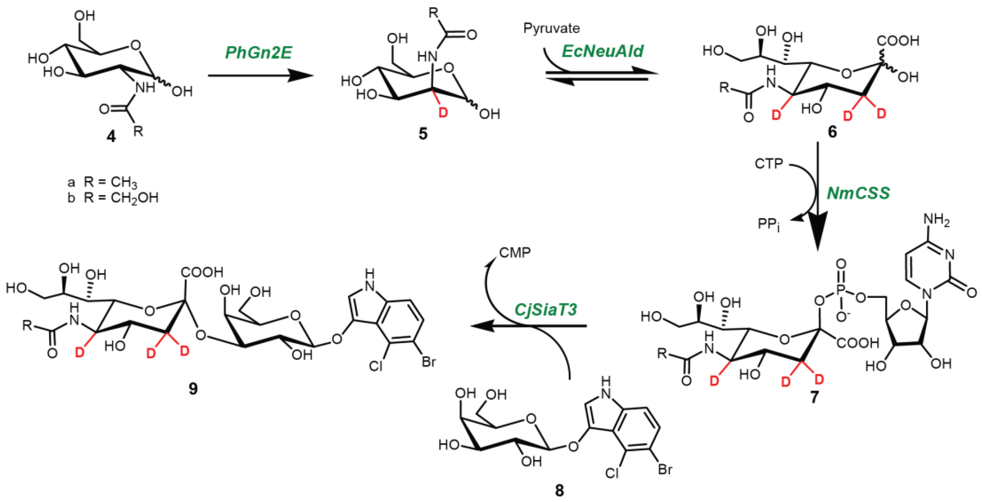 Molecules 24 01368 sch002