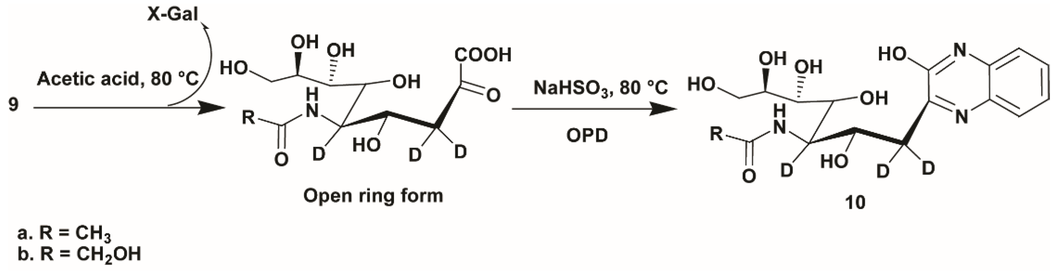 Molecules 24 01368 sch003