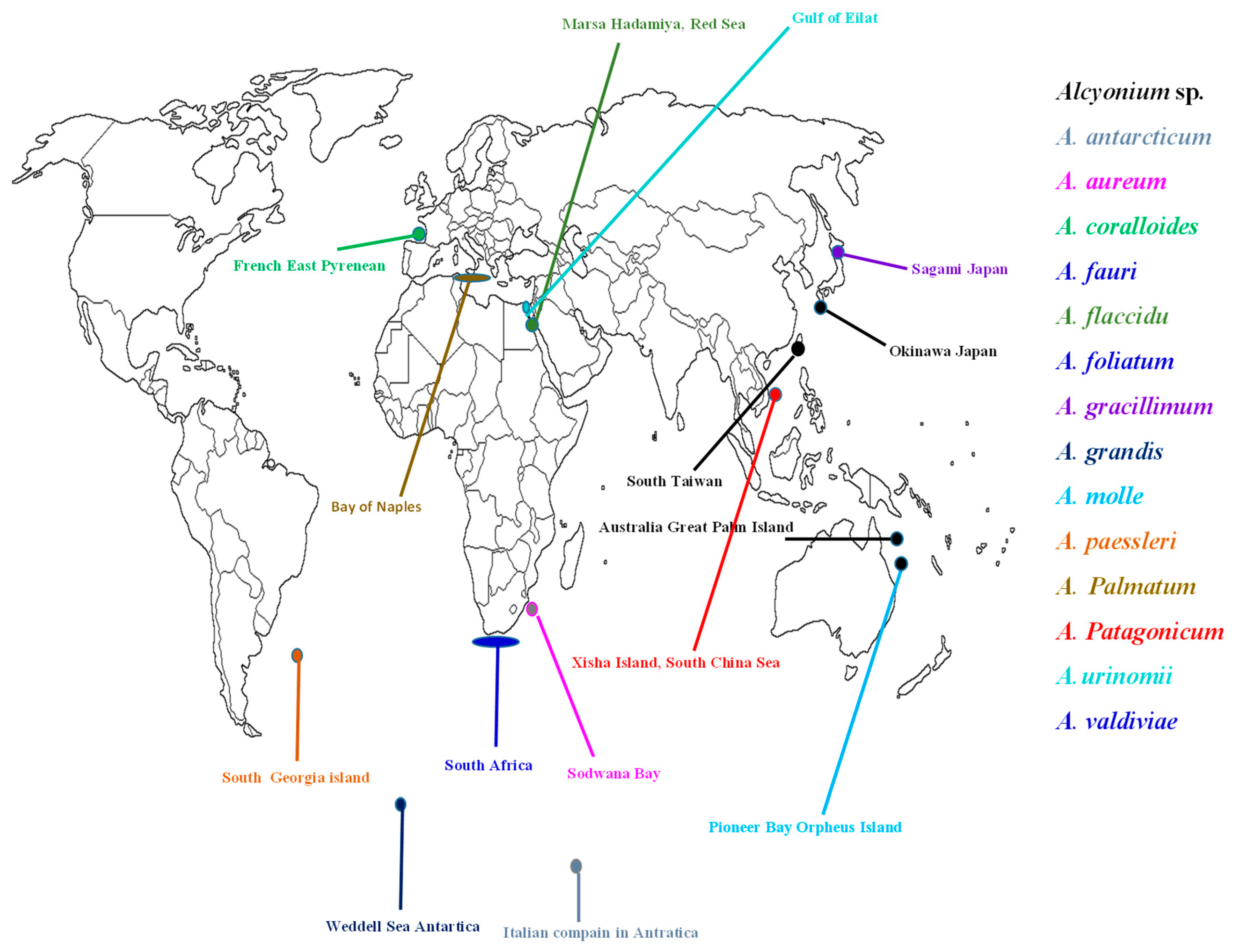 Molecules 24 01370 g001