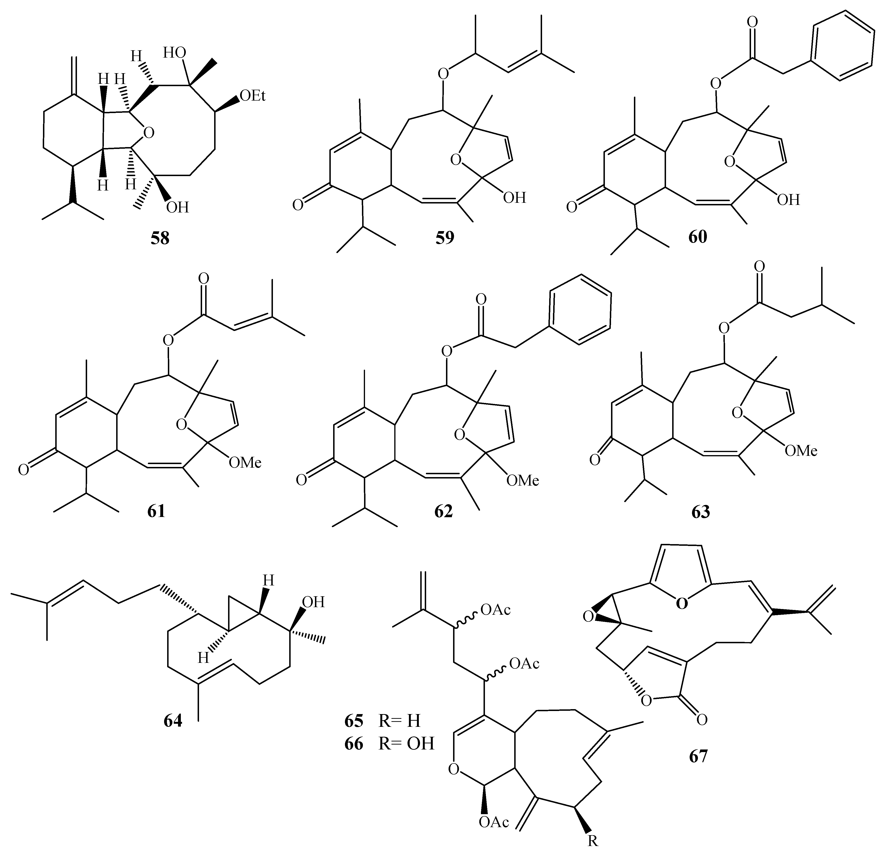 Molecules 24 01370 g009
