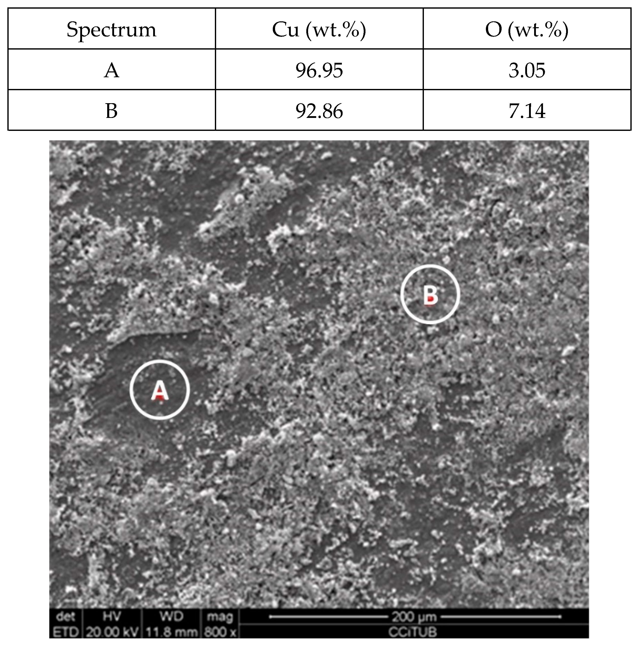 Molecules 24 01383 g007 Molecules 24 01383 g007