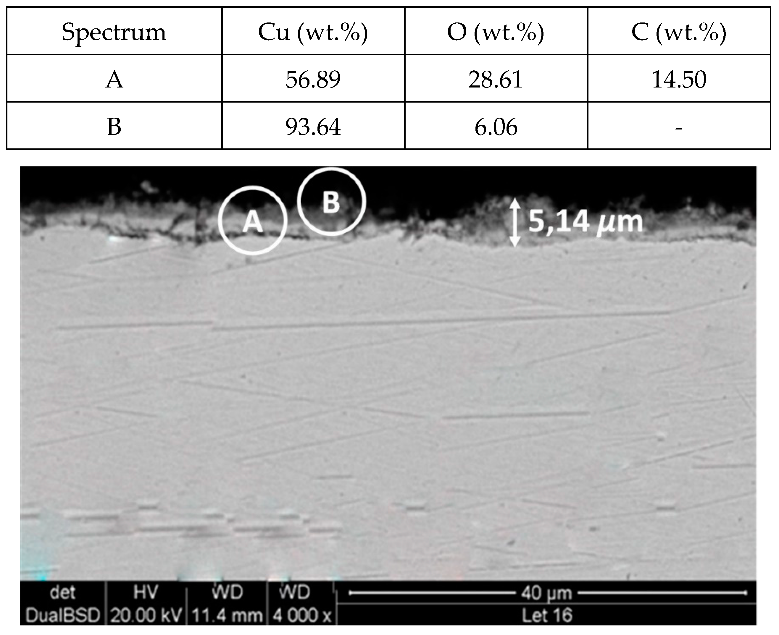 Molecules 24 01383 g008 Molecules 24 01383 g008