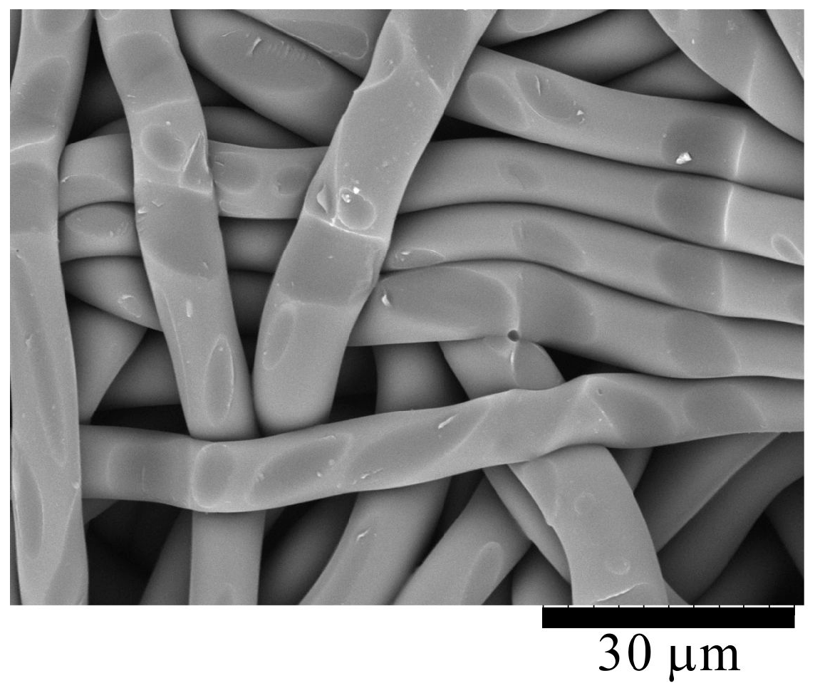 Molecules 24 01384 g004