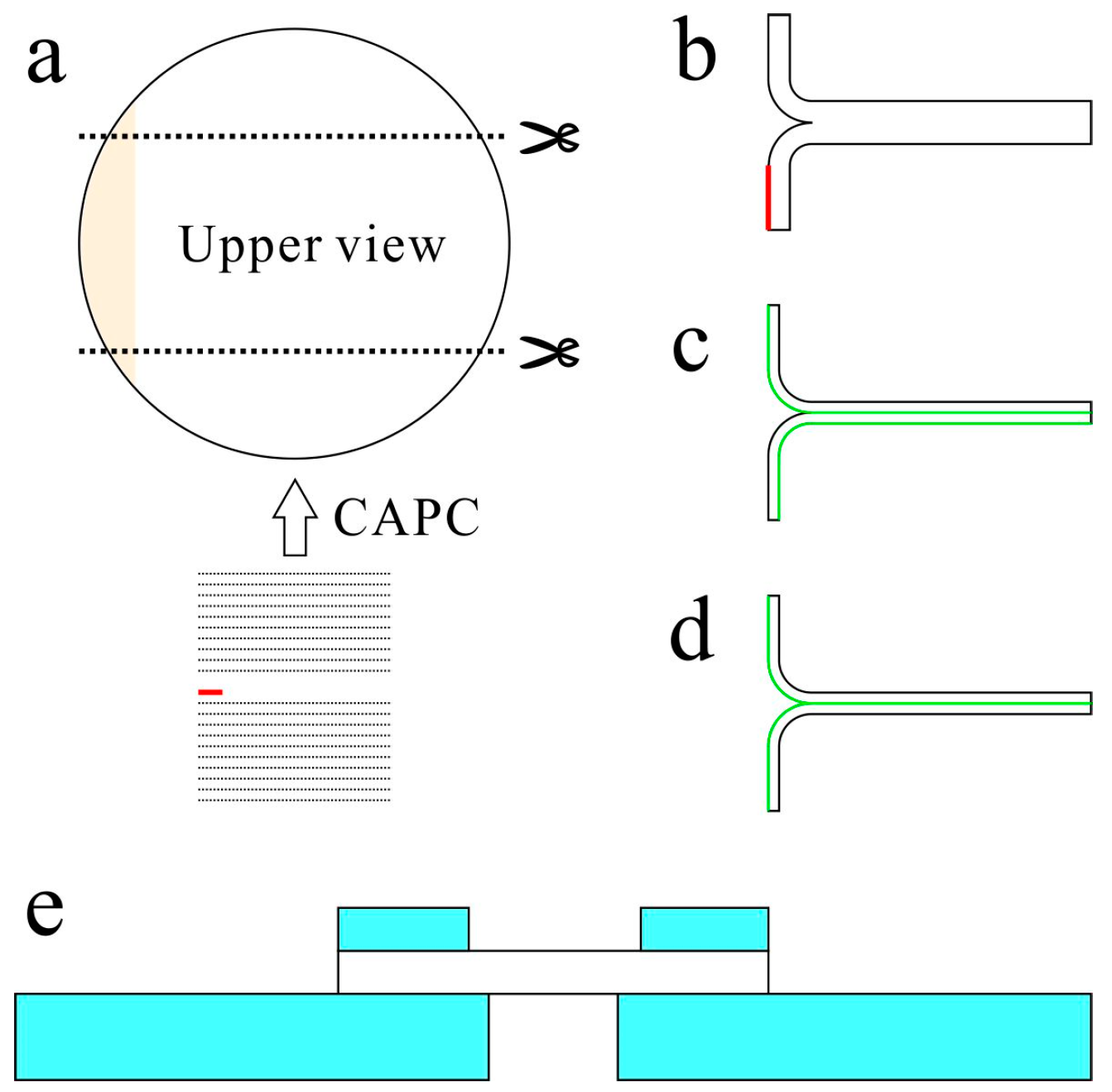 Molecules 24 01384 g009