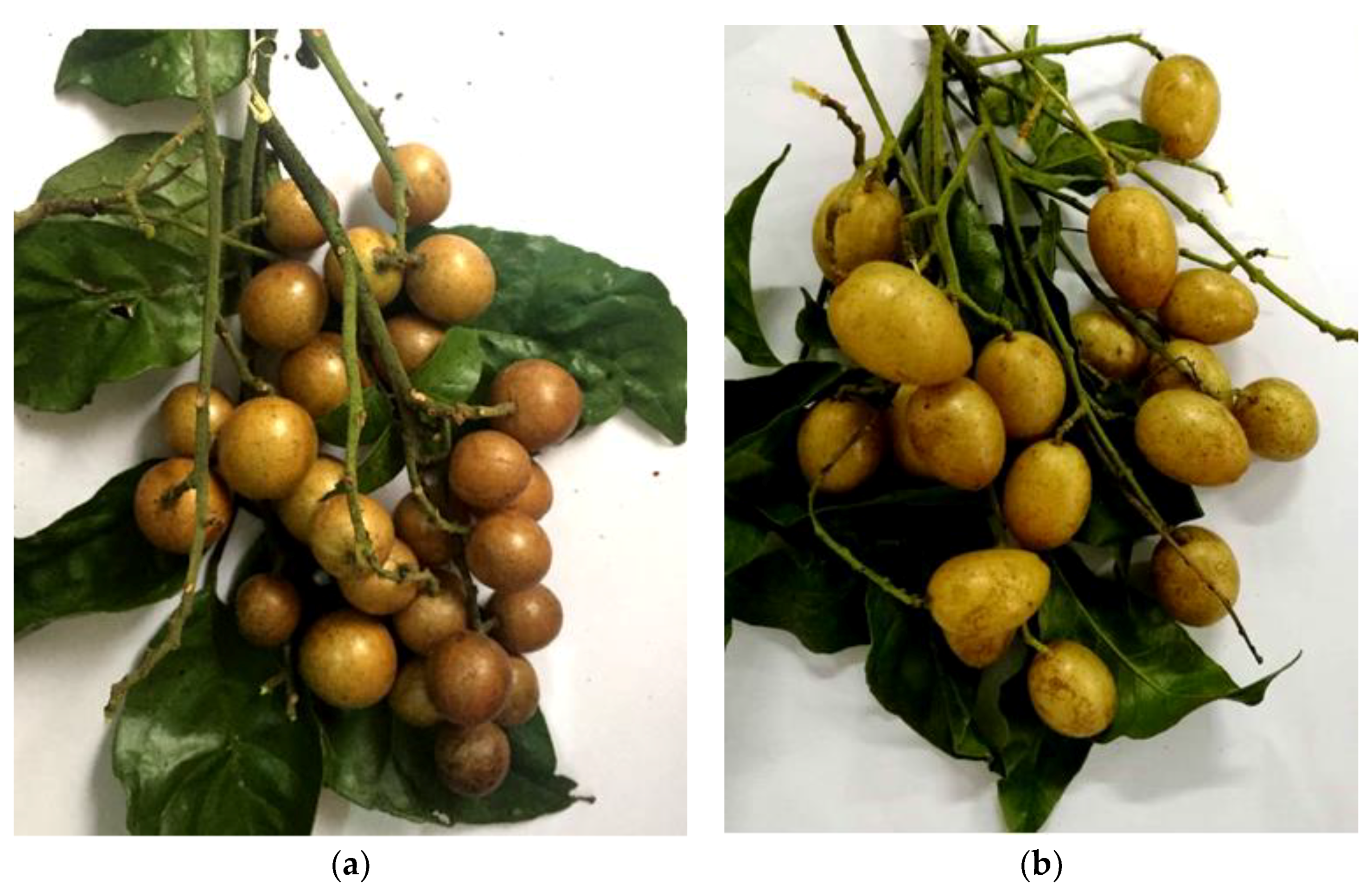 Molecules 24 01394 g003