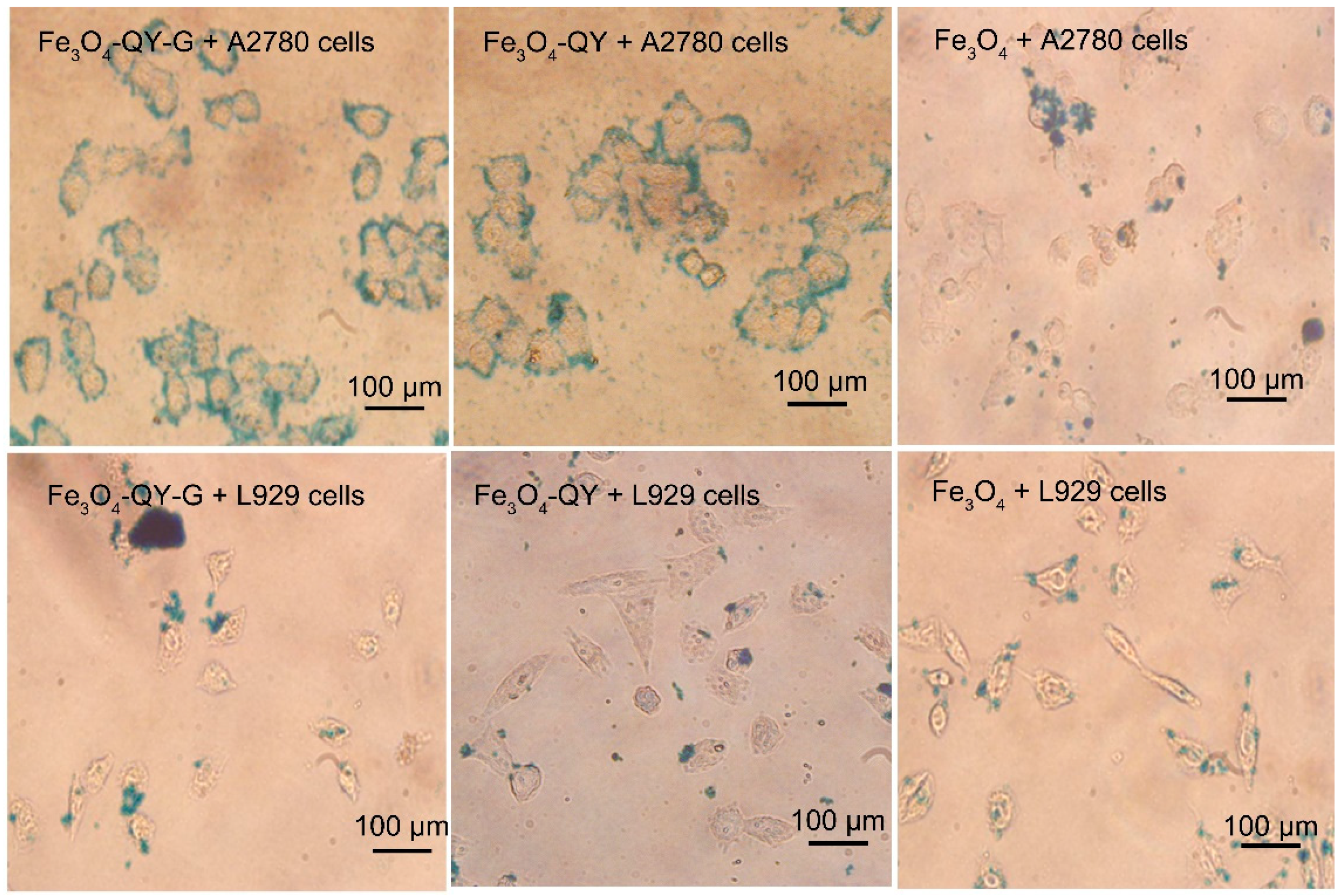 Molecules 24 01401 g008 Molecules 24 01401 g008
