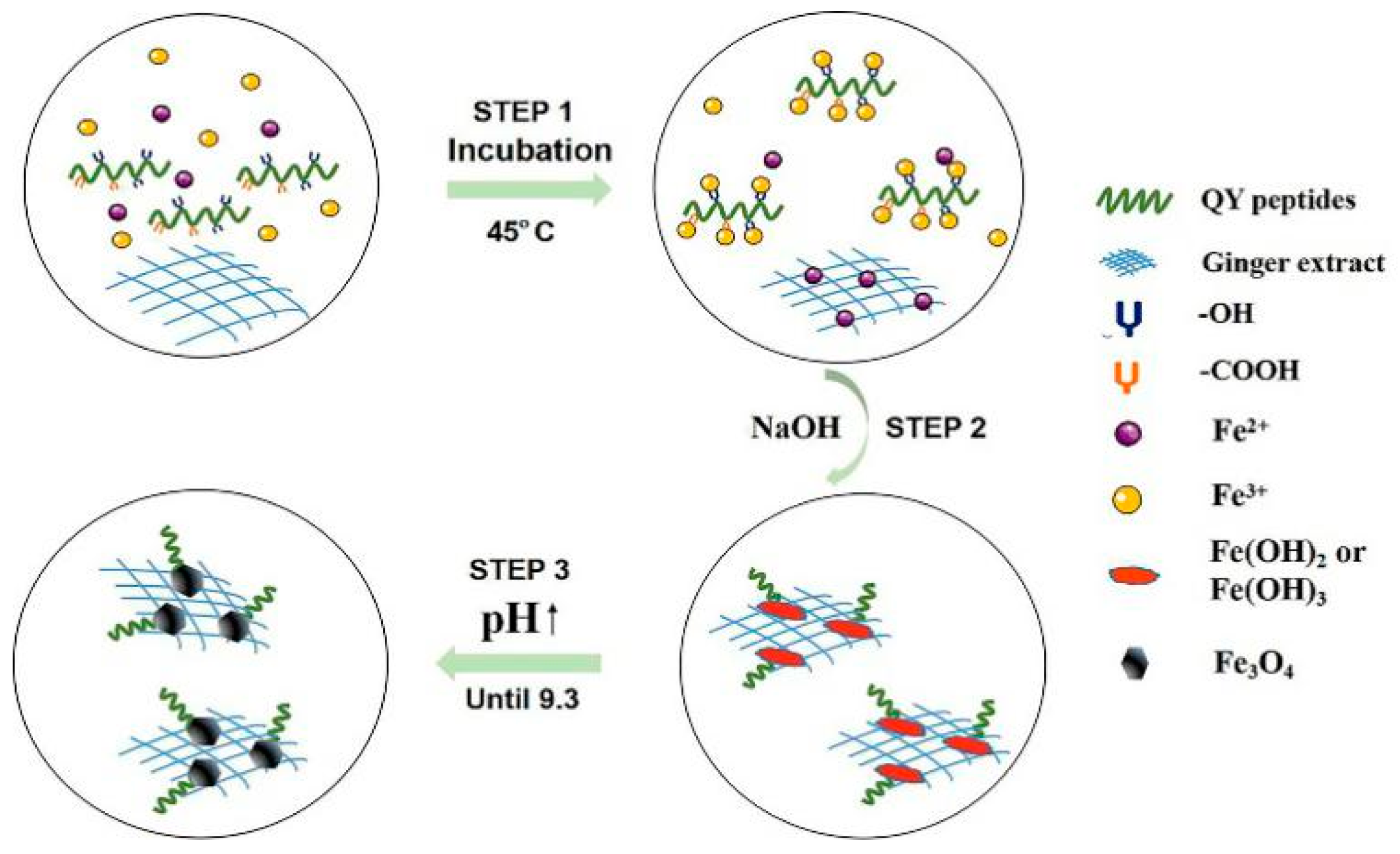 Molecules 24 01401 g011 Molecules 24 01401 g011