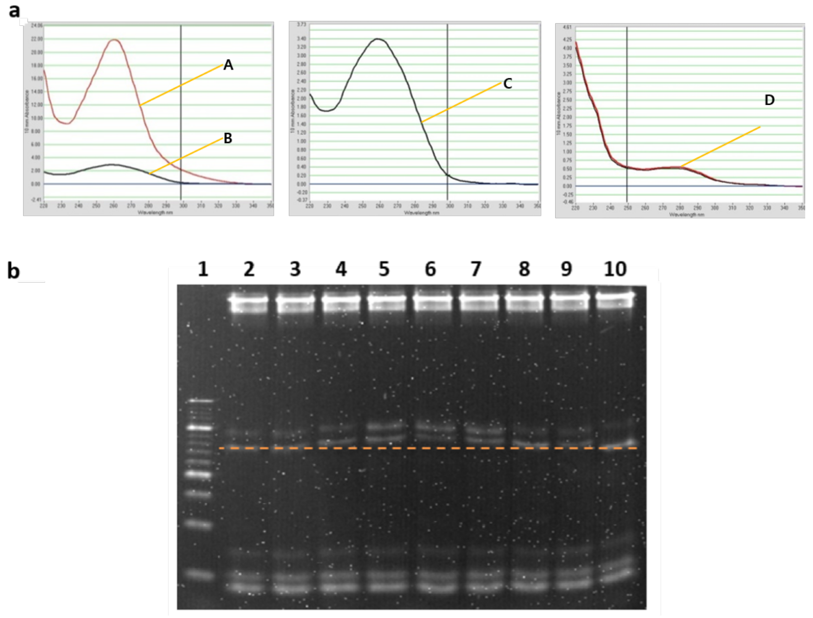 Molecules 24 01409 g006