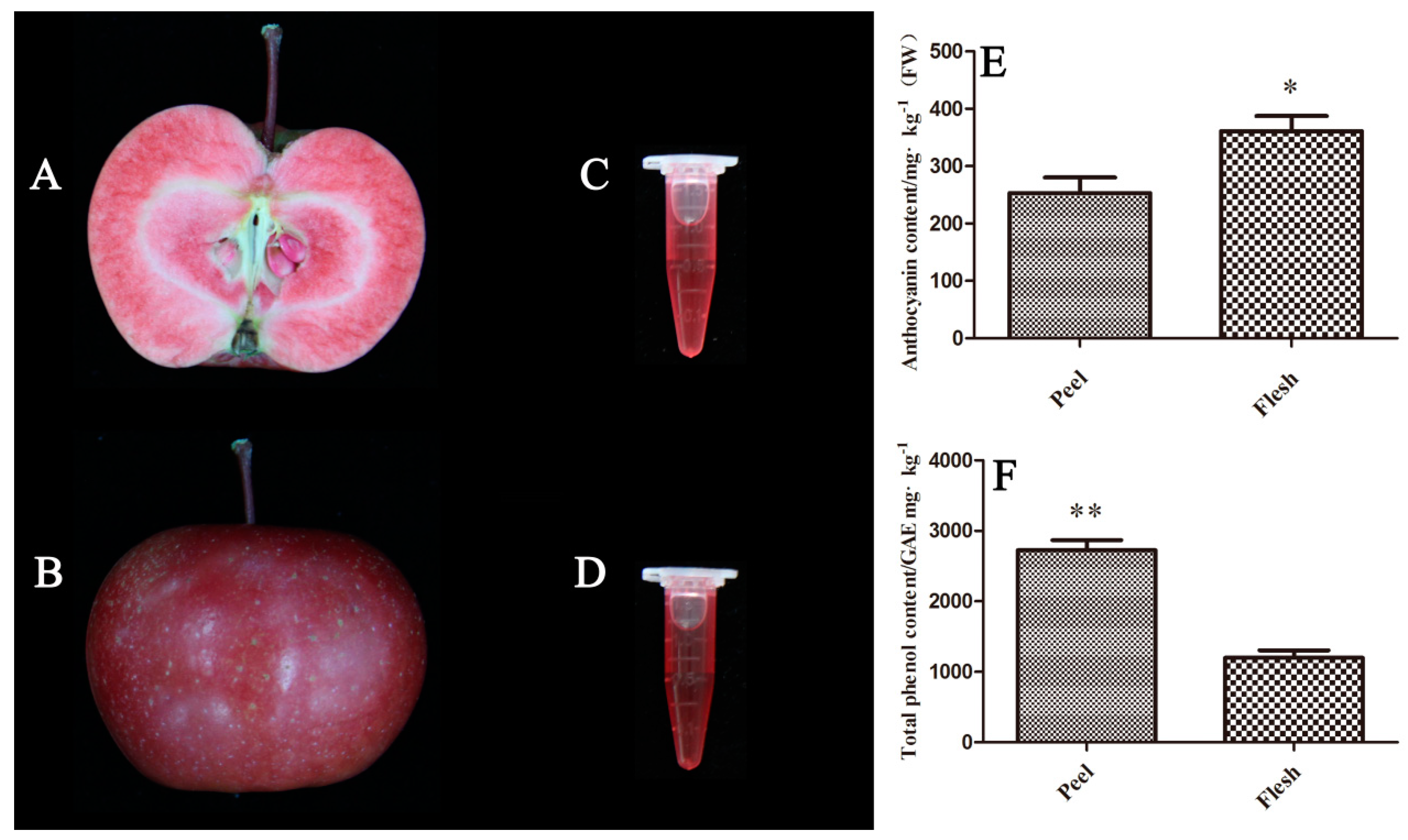 Molecules 24 01421 g001