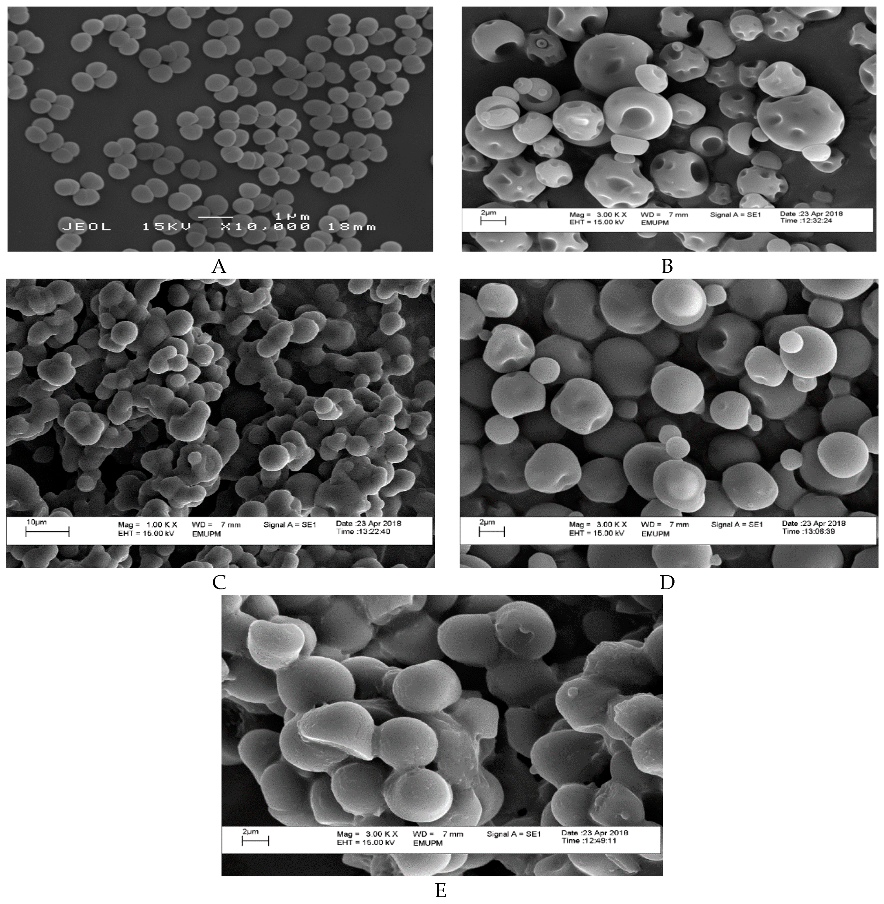Molecules 24 01422 g001 Molecules 24 01422 g001