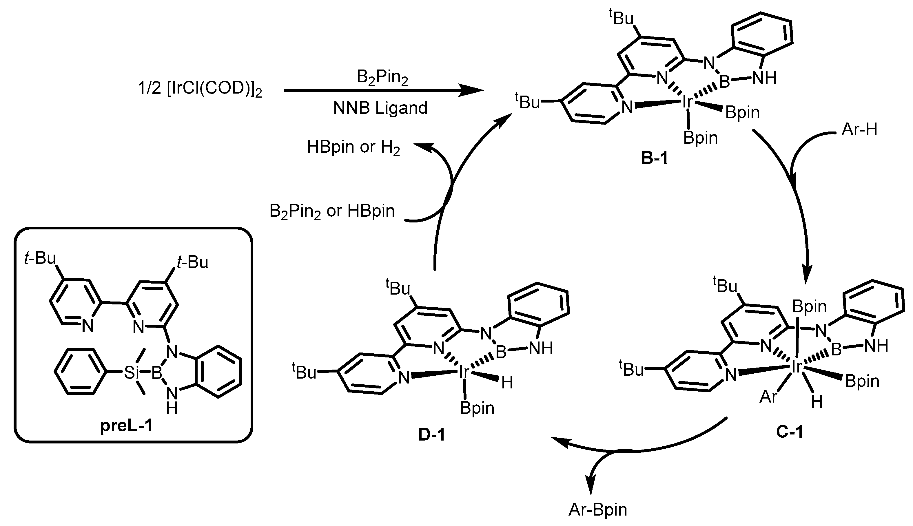 Molecules 24 01434 sch005 Molecules 24 01434 sch005